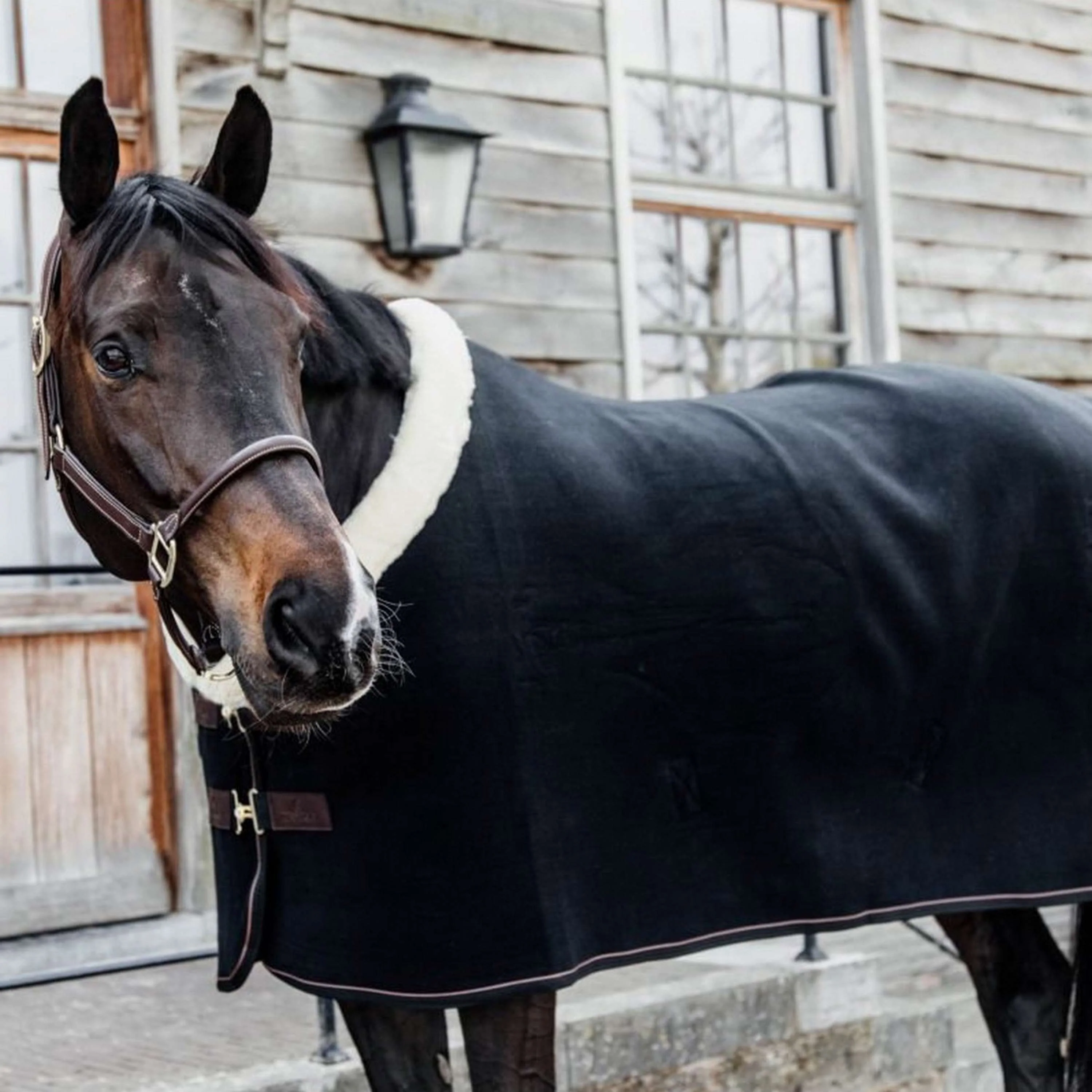 Kentucky Couvertures Anti-Transpiration Show Fleece Heavy Noir - Image 2