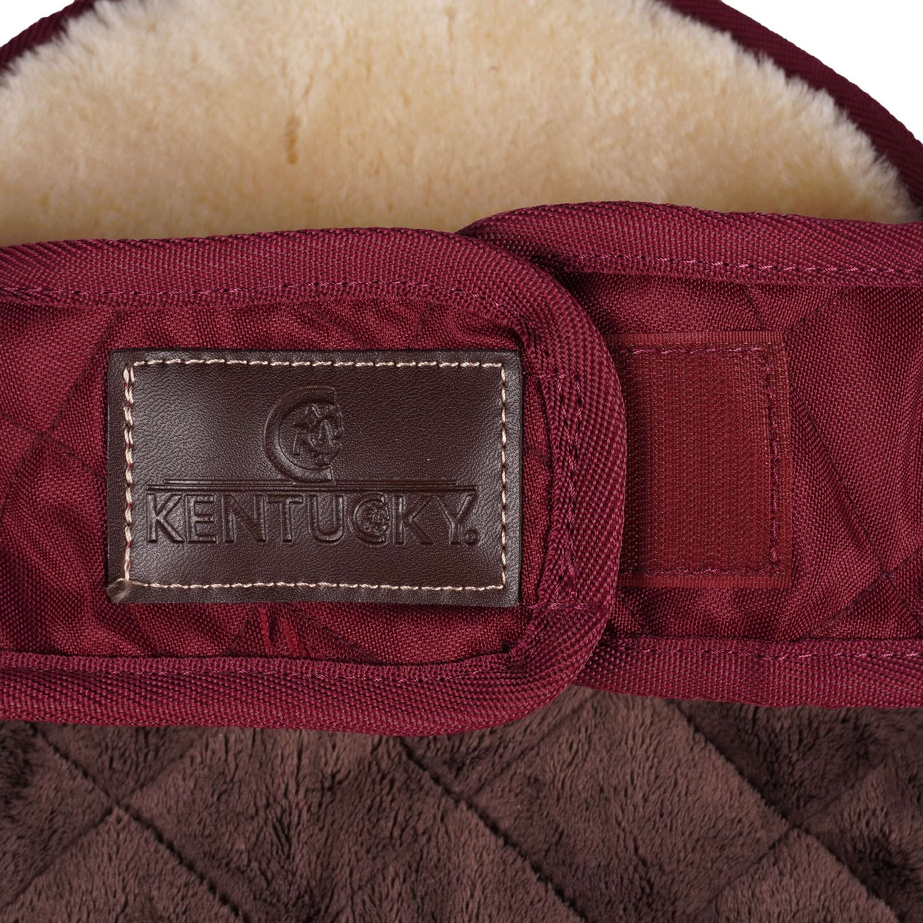 Kentucky Veste pour Chien Original Royal Bordeaux - Image 9