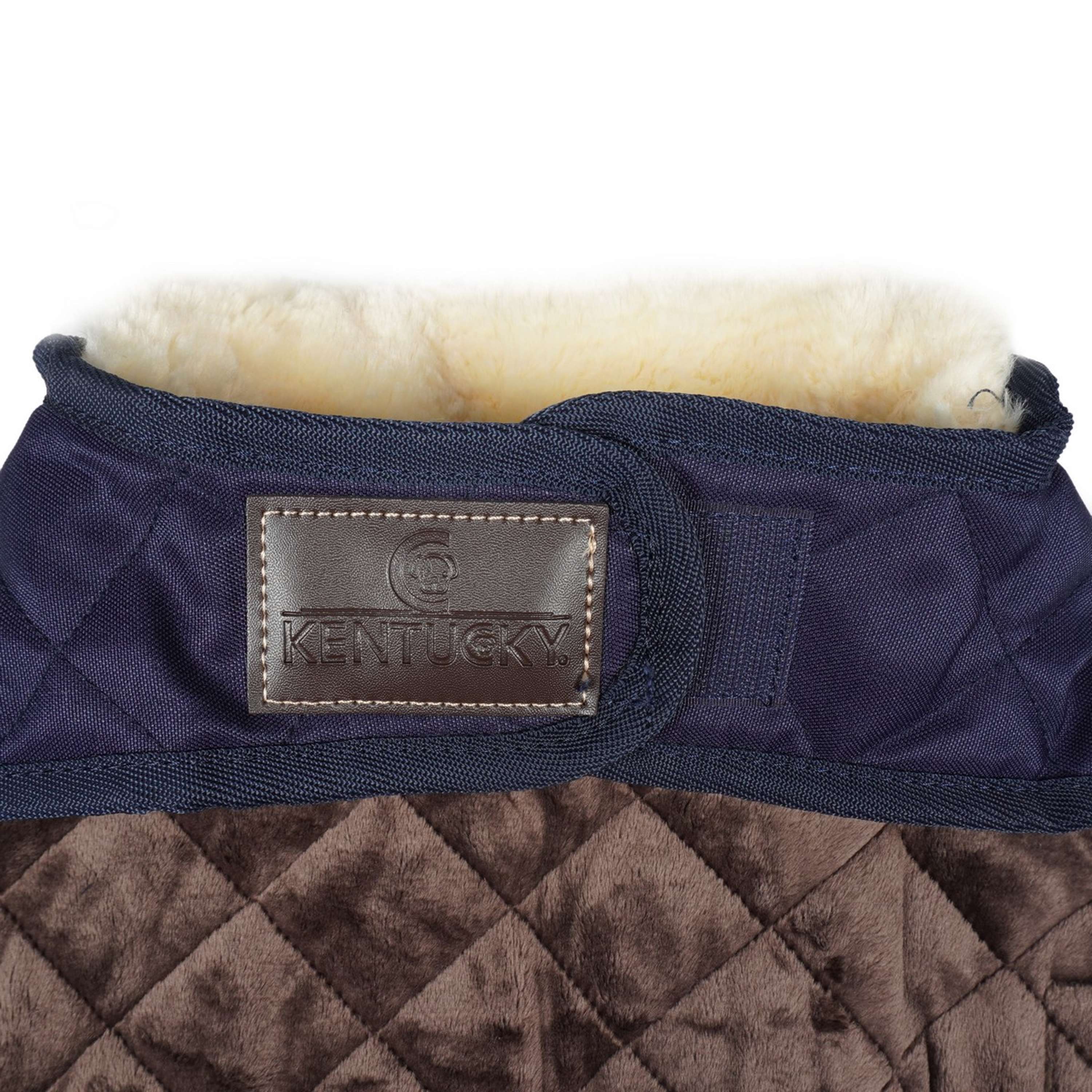 Kentucky Veste pour Chien Original Royal Marin - Image 7