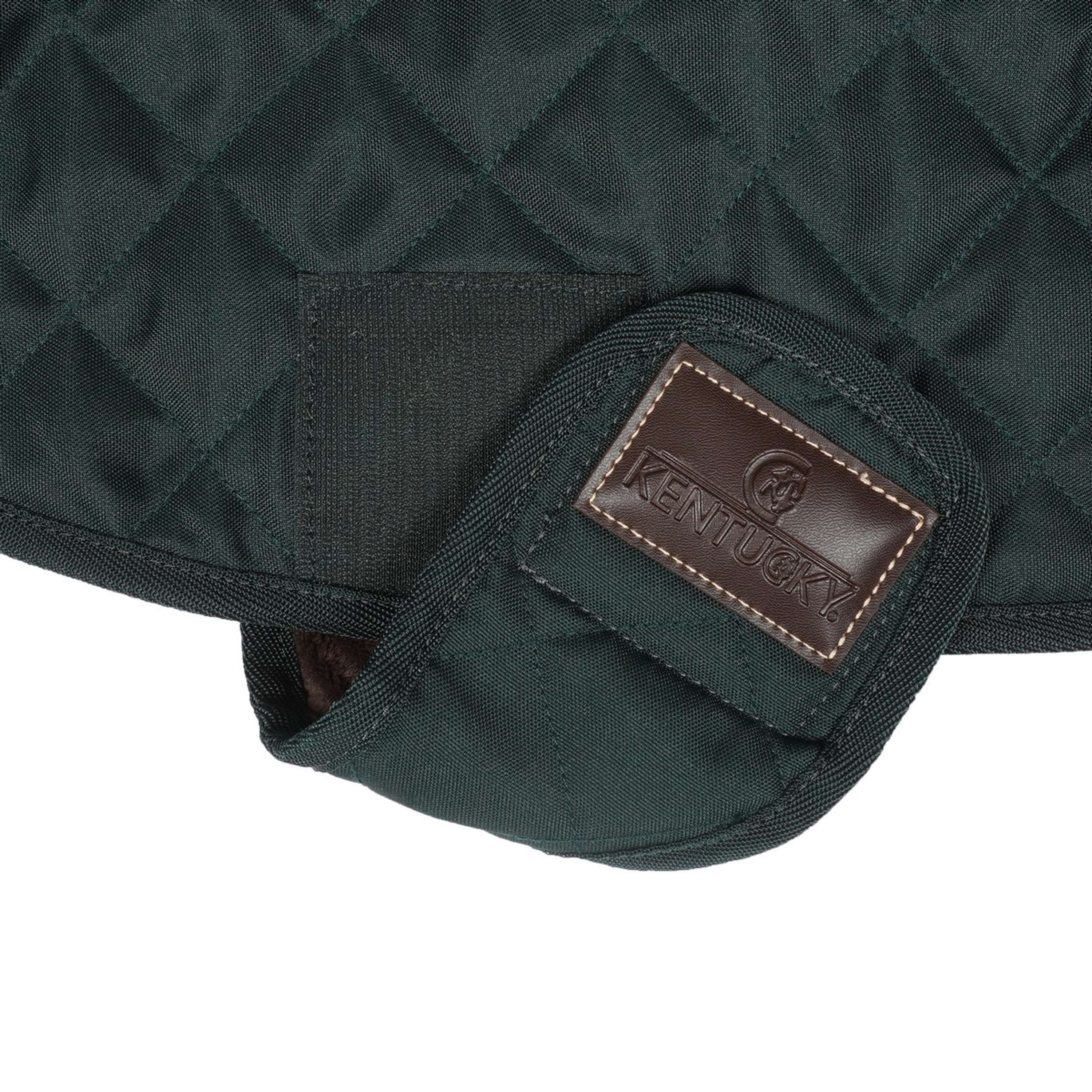 Kentucky Veste pour Chien Original Royal Vert Foncé - Image 10