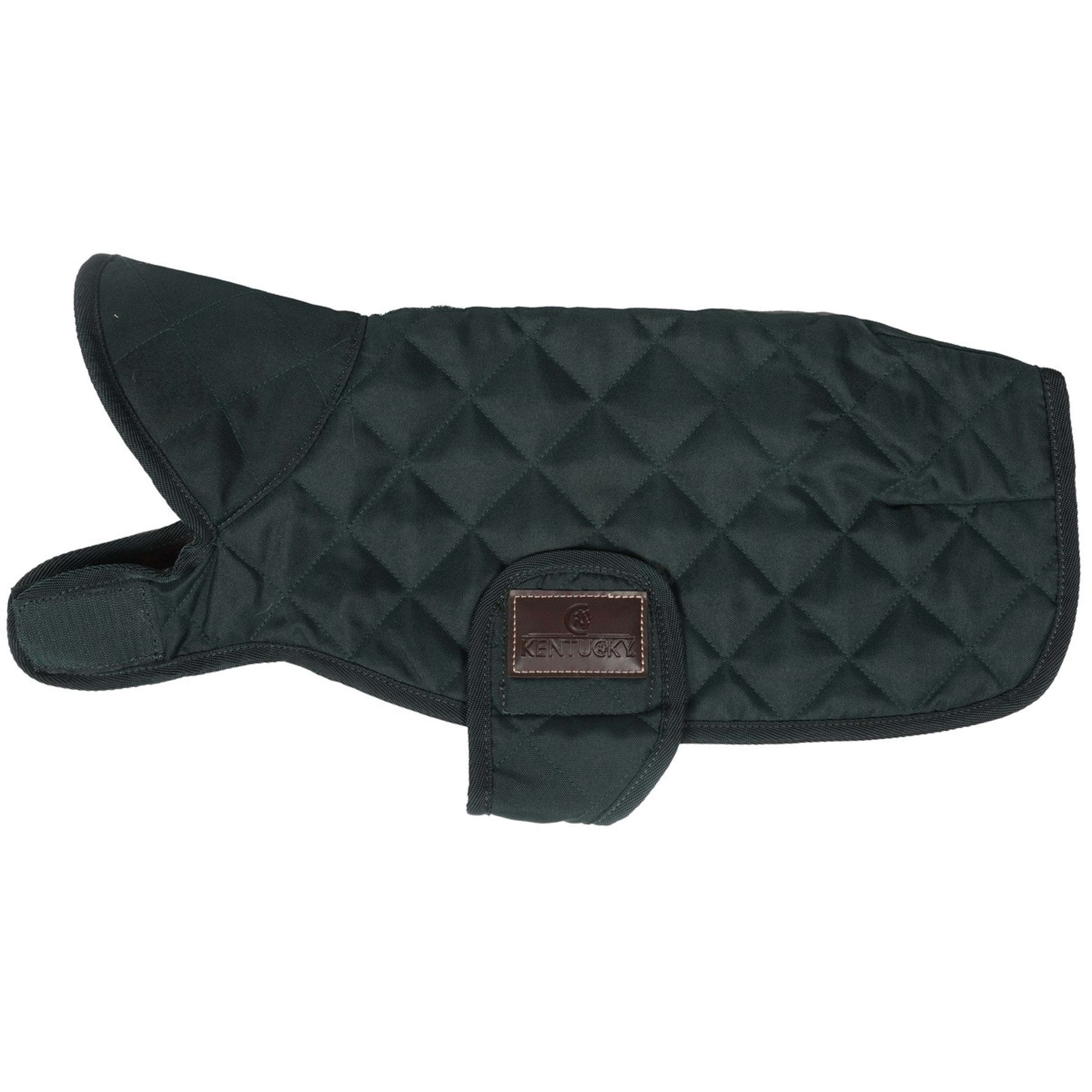Kentucky Veste pour Chien Original Royal Vert Foncé - Image 2