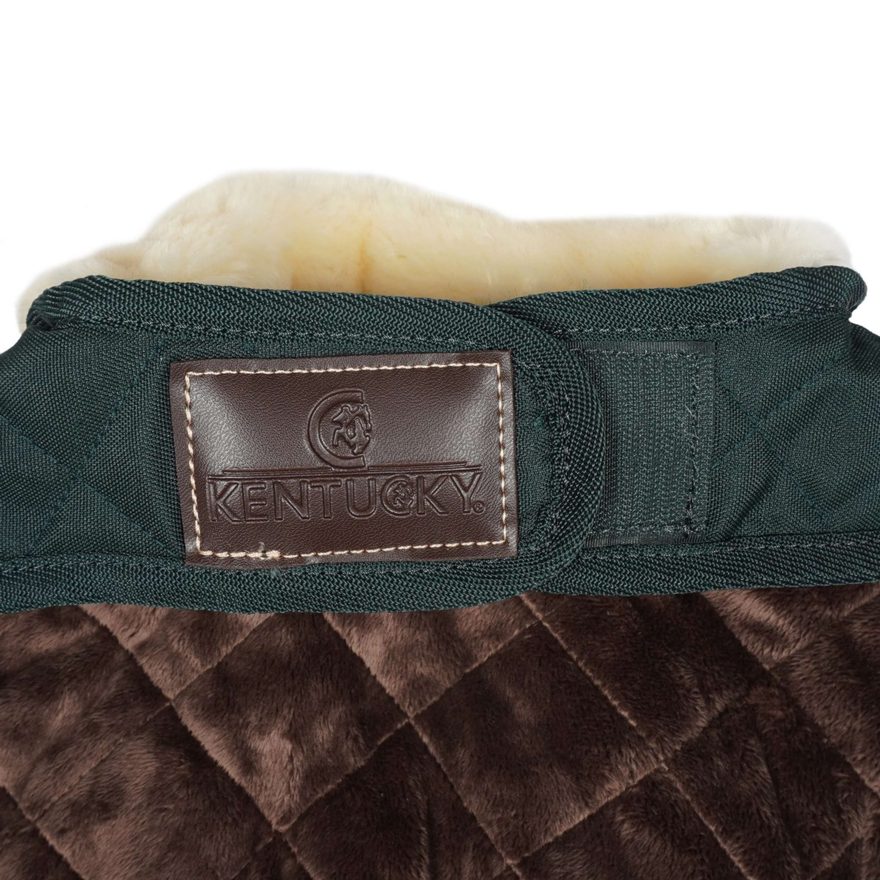 Kentucky Veste pour Chien Original Royal Vert Foncé - Image 7