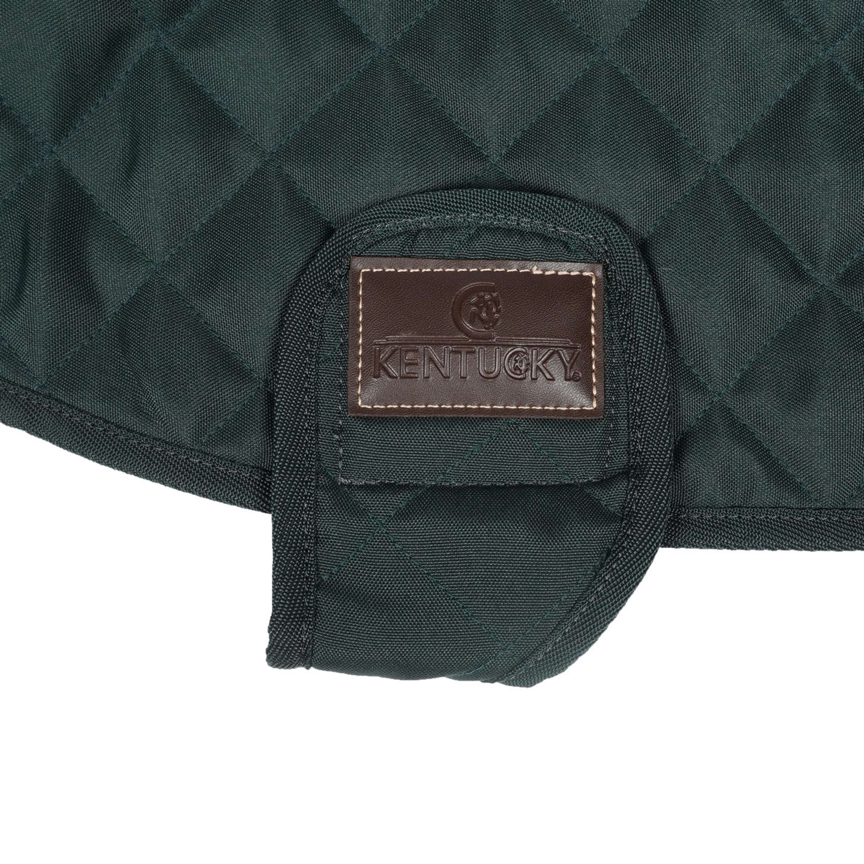 Kentucky Veste pour Chien Original Royal Vert Foncé - Image 9