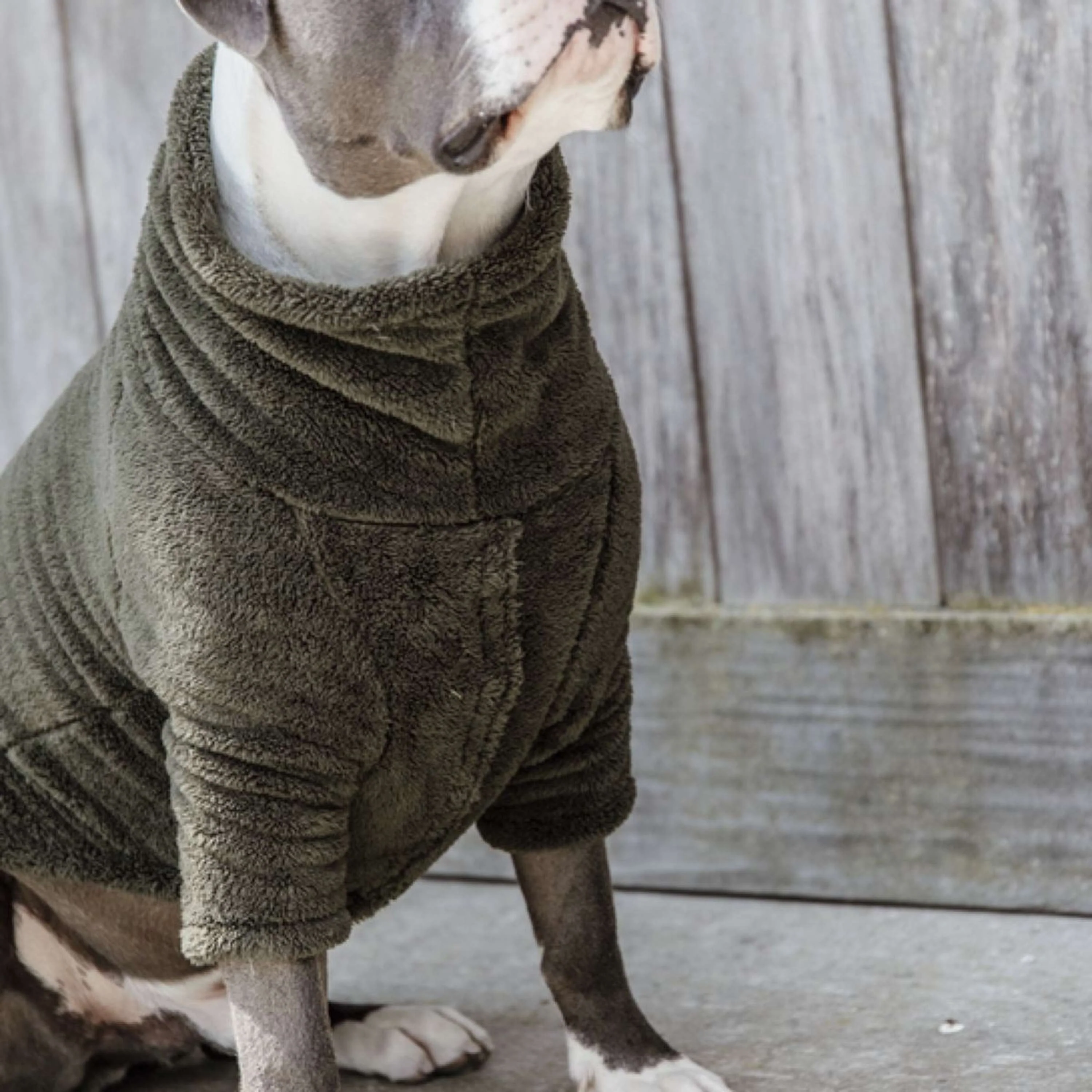Kentucky Pull Chien Teddy Fleece Pine Green - Image 2