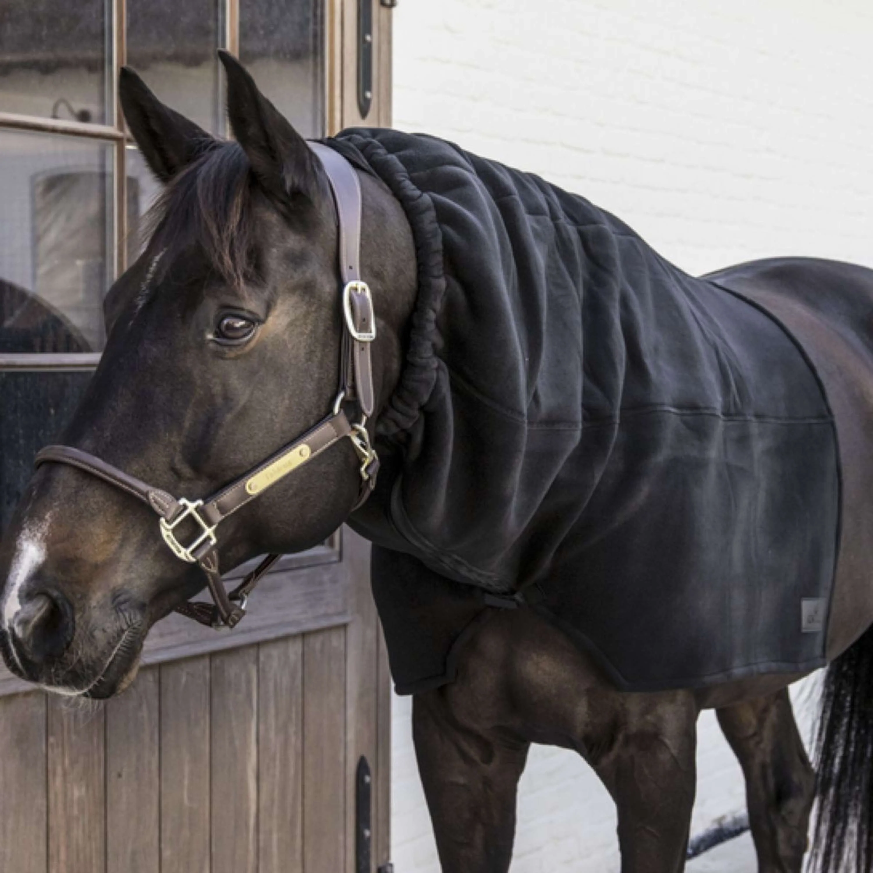 Kentucky Cou Heavy Fleece Noir - Image 2