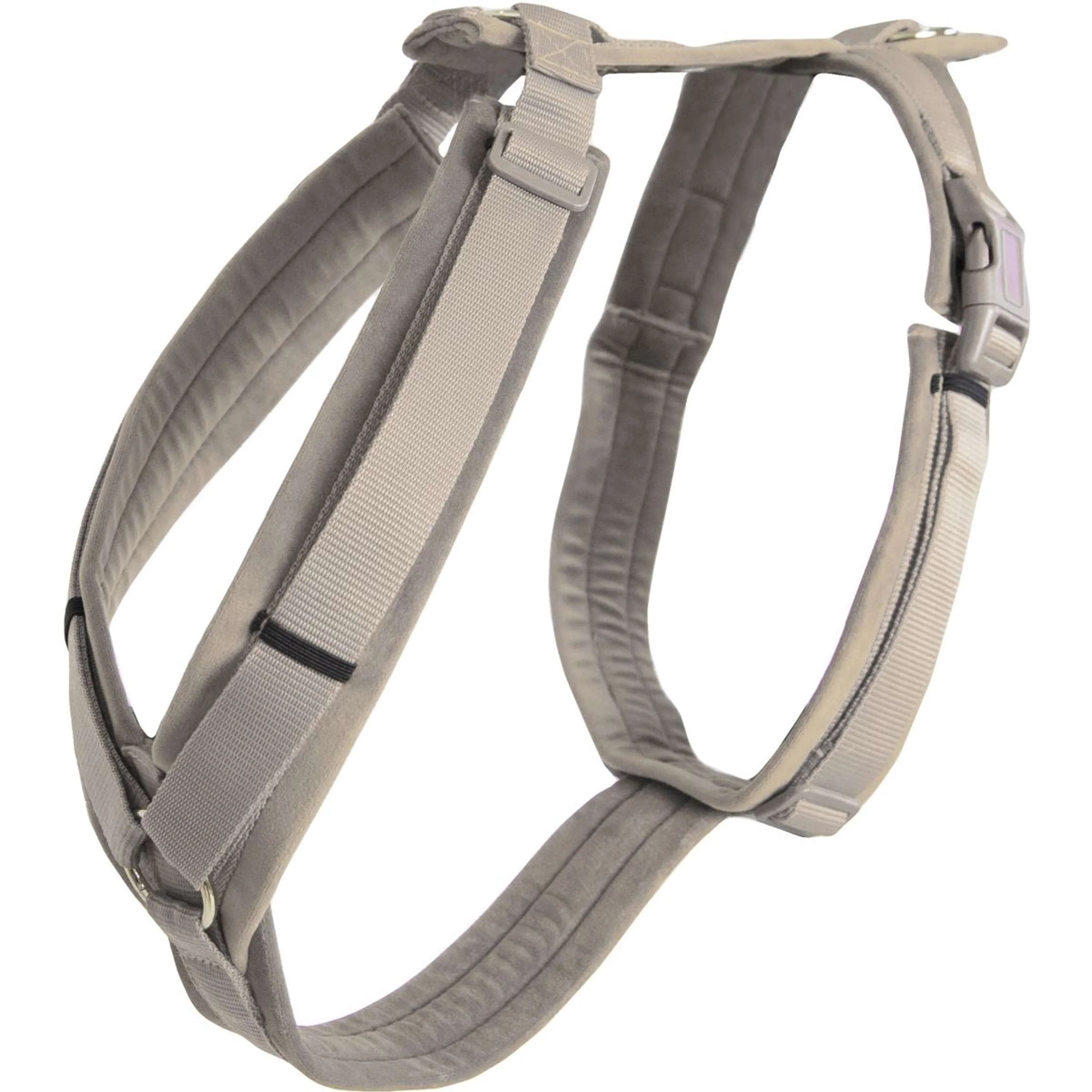 Kentucky Harnais Active velours Beige - Image 5