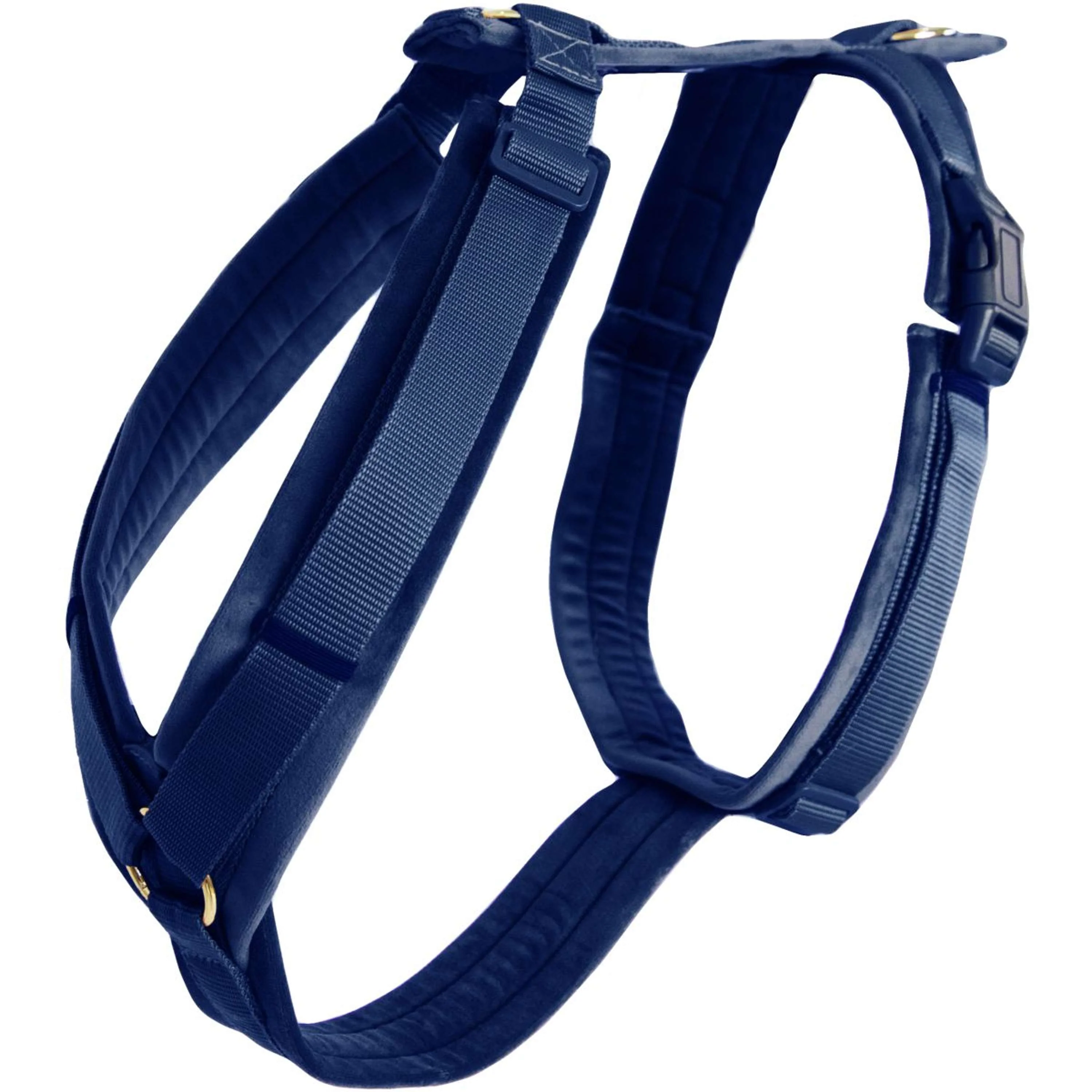 Kentucky Harnais Active velours Marin - Image 4
