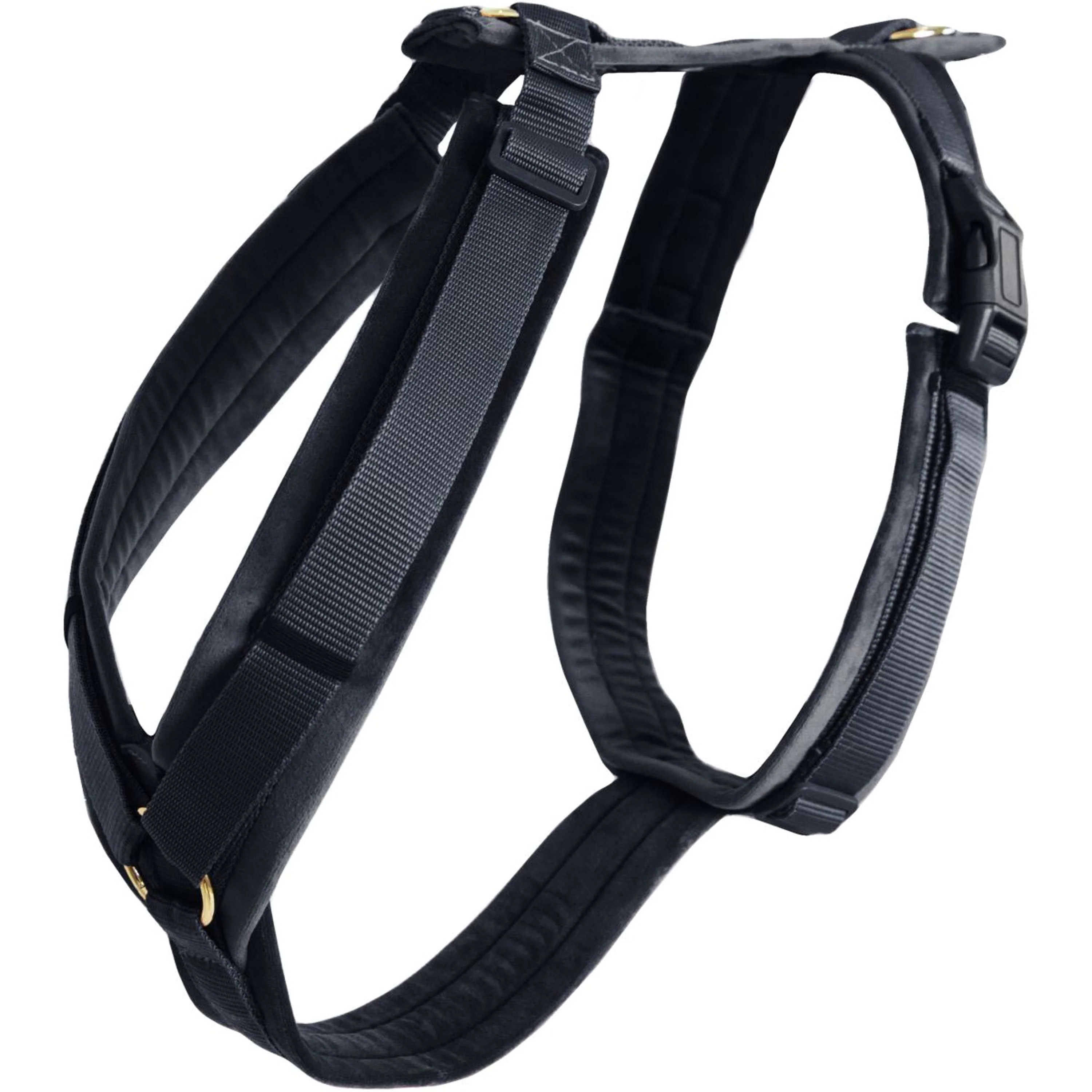 Kentucky Harnais Active velours Noir - Image 3