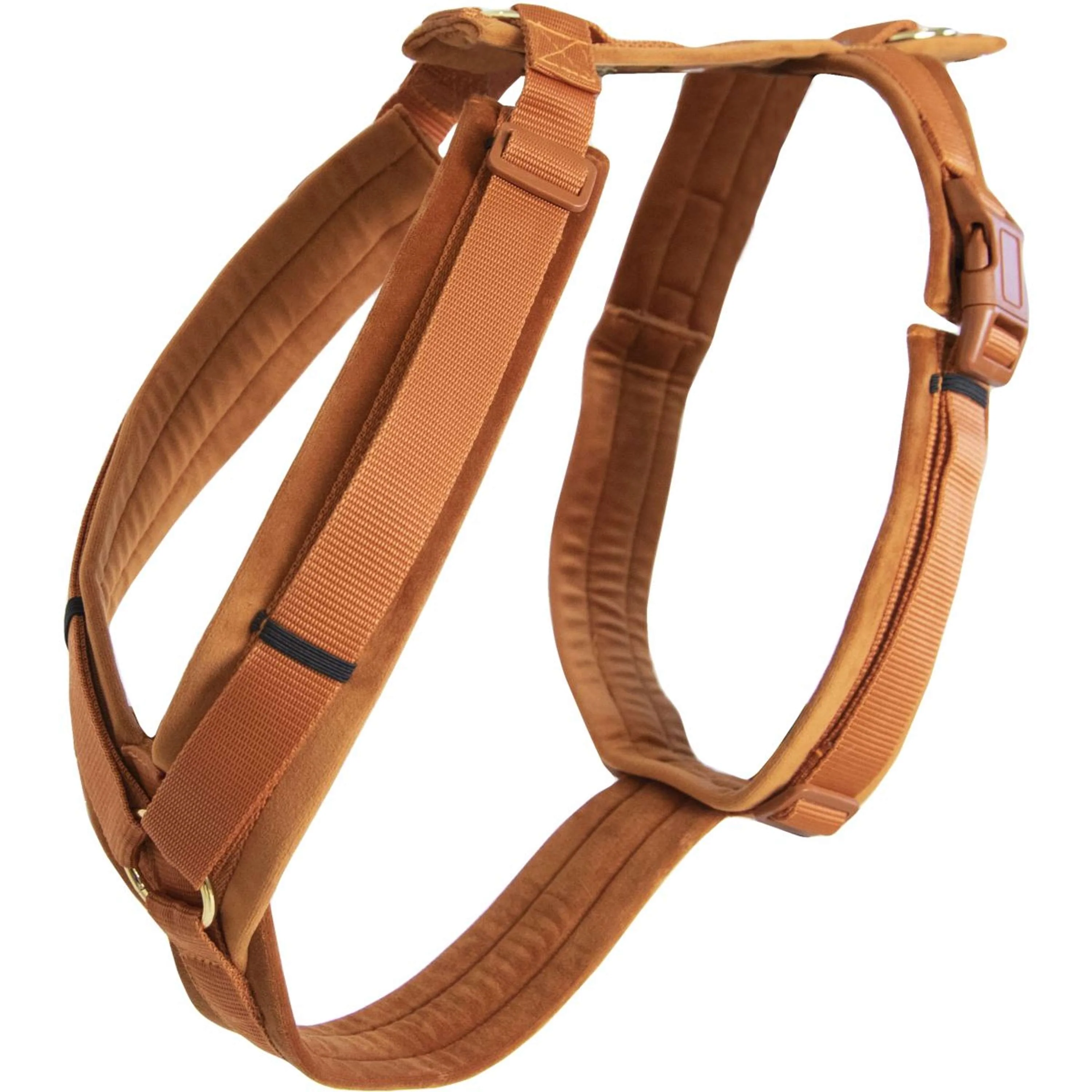 Kentucky Harnais Active velours Orange - Image 5