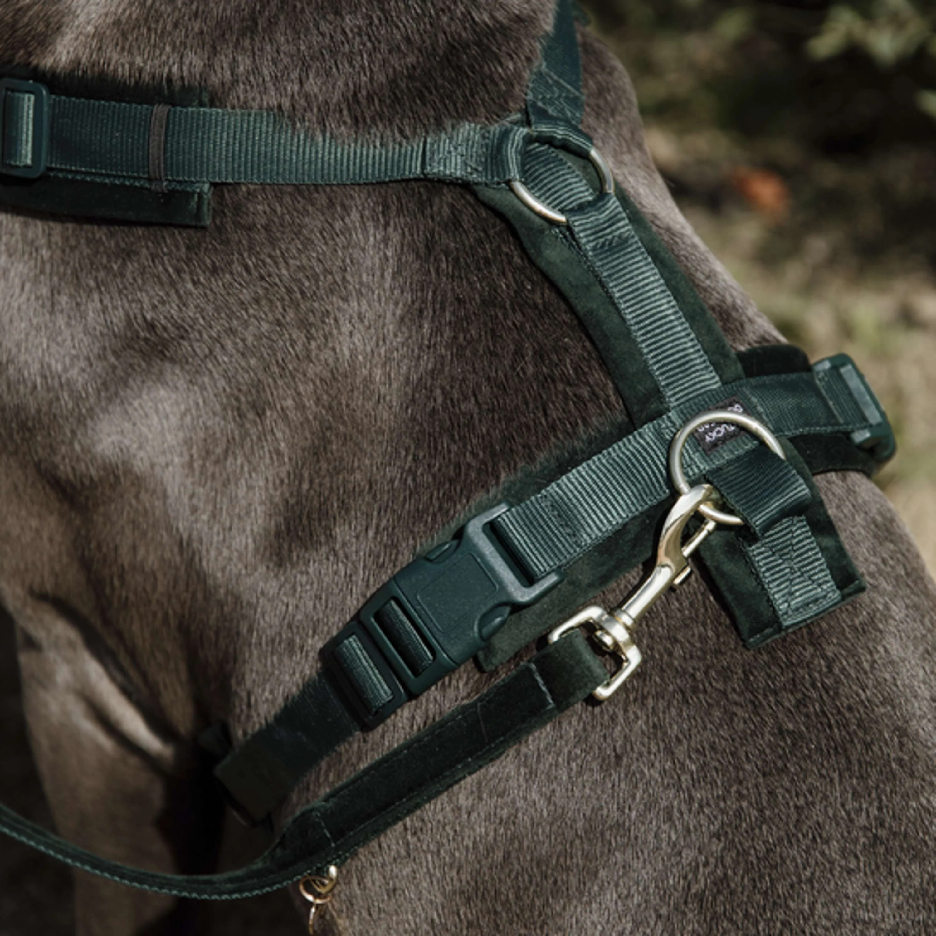 Kentucky Harnais Active velours Pine Green - Image 2