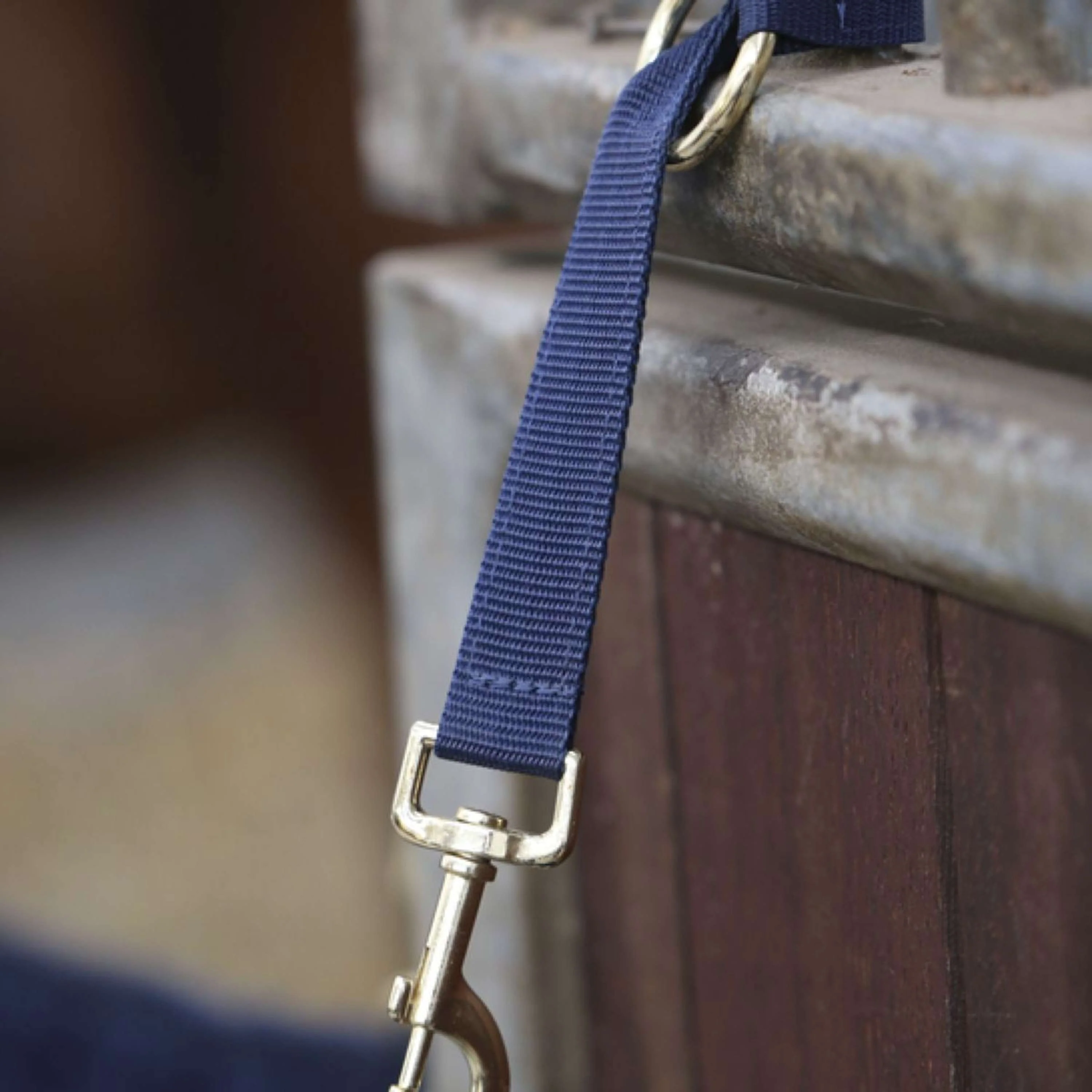 Kentucky Holder Hook & Ring Nylon Marin - Image 2