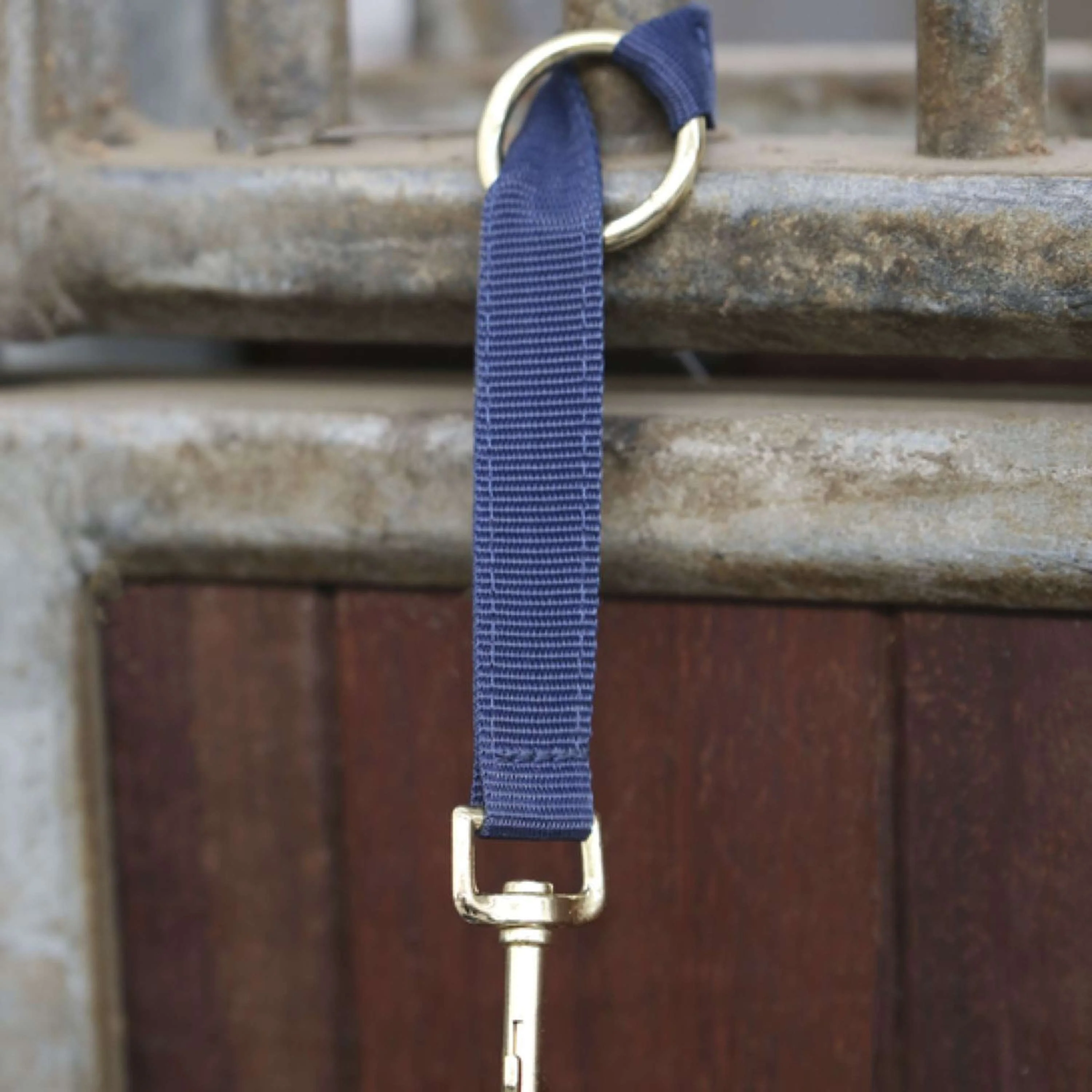 Kentucky Holder Hook & Ring Nylon Marin - Image 3