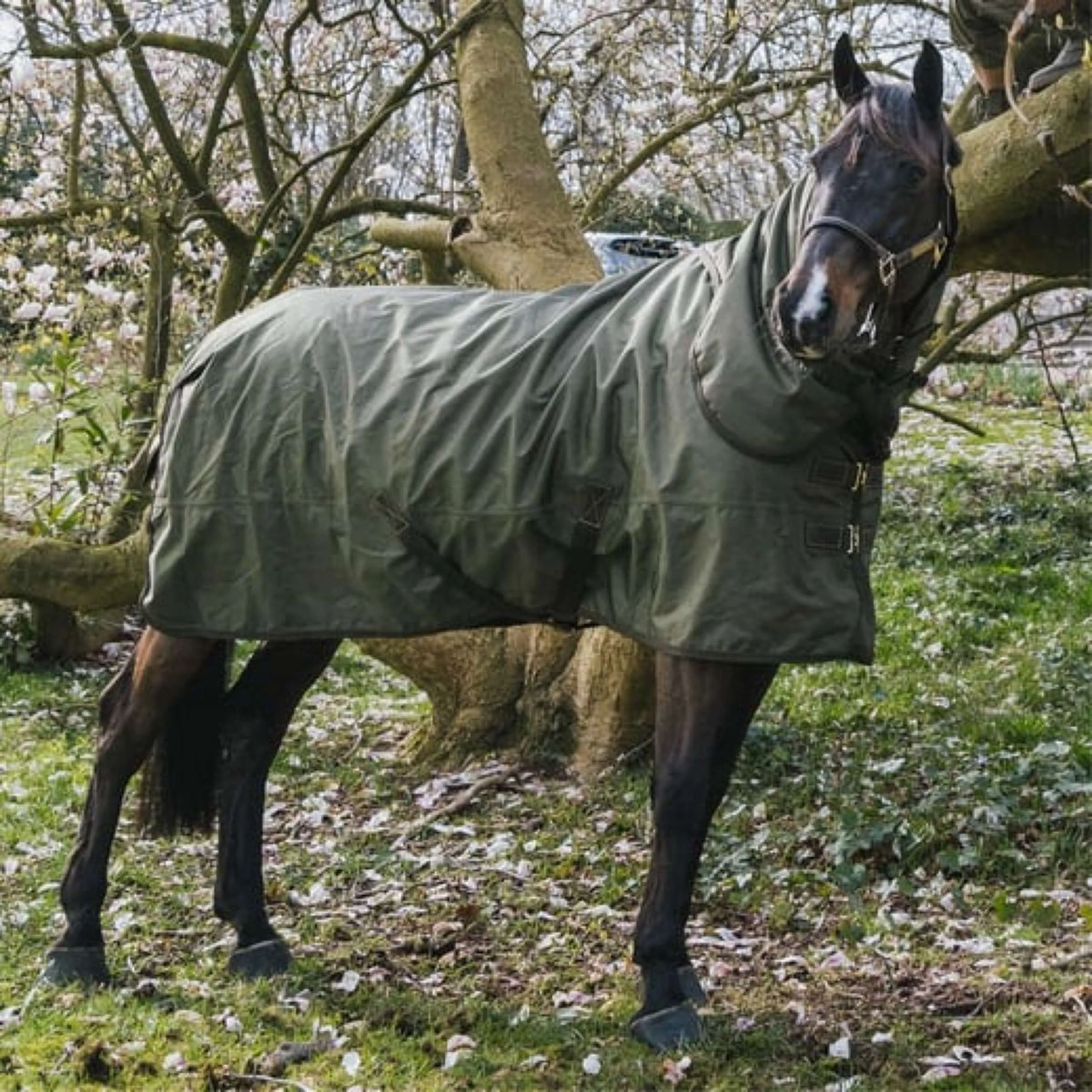 Kentucky Couverture Turnout All Weather 160g Kaki - Image 6