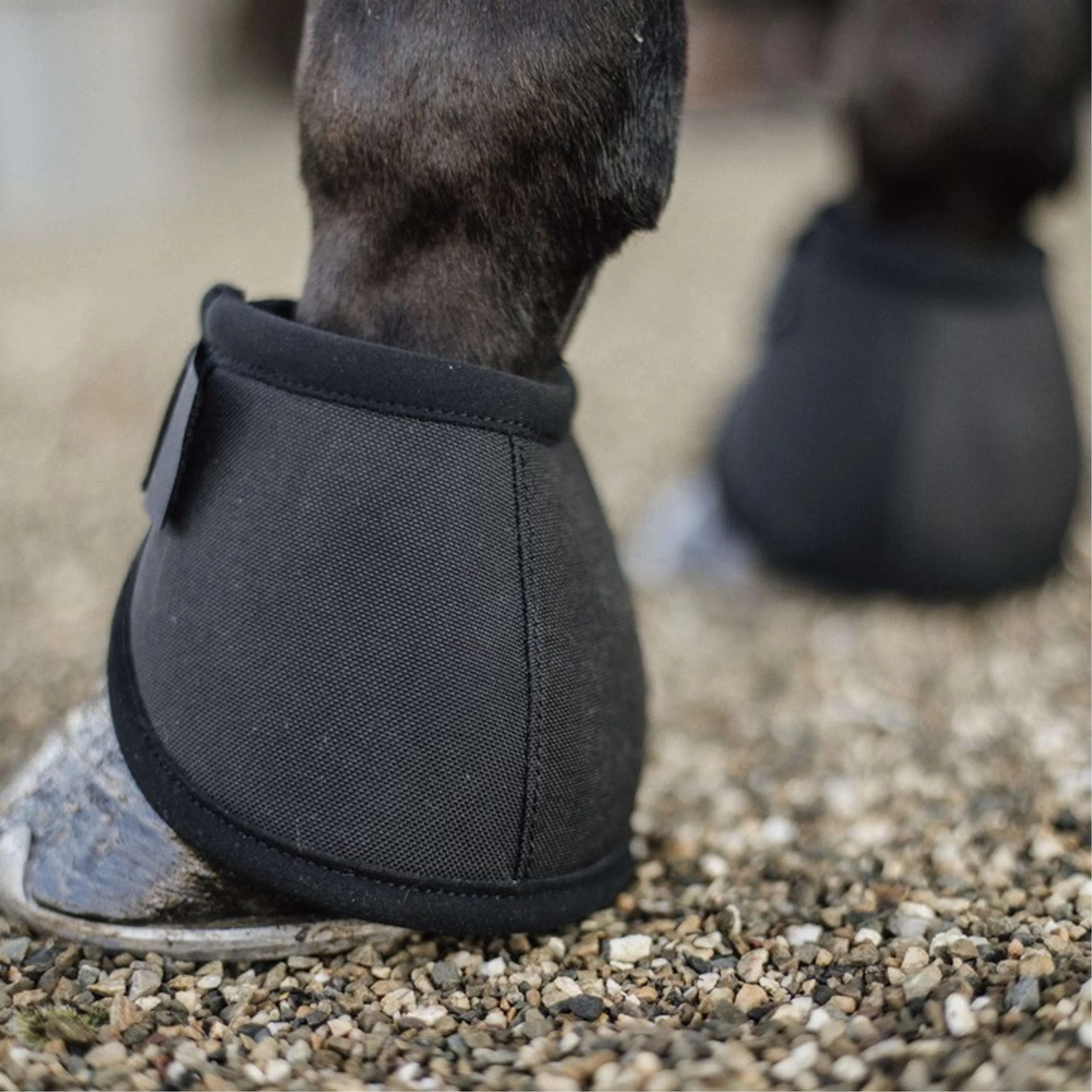 Kentucky Cloches d'Obstacles Heel Protection Noir - Image 2