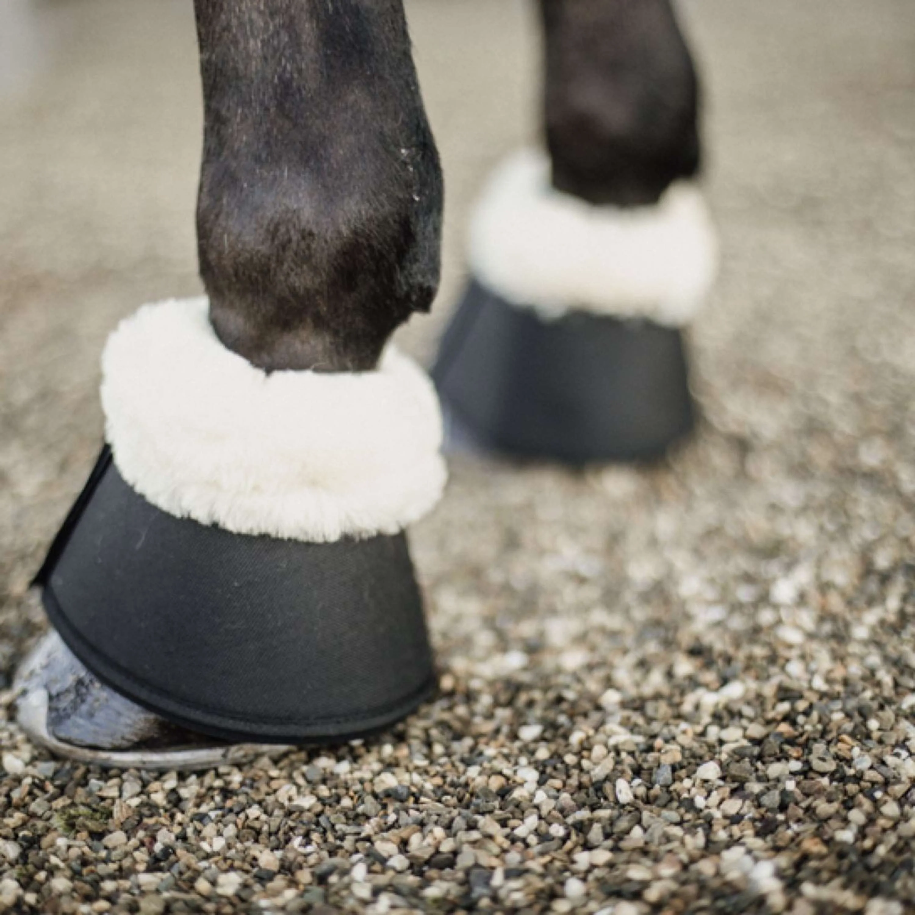 Kentucky Horsewear Cloches d'Obstacles Sheepskin Noir - Image 2