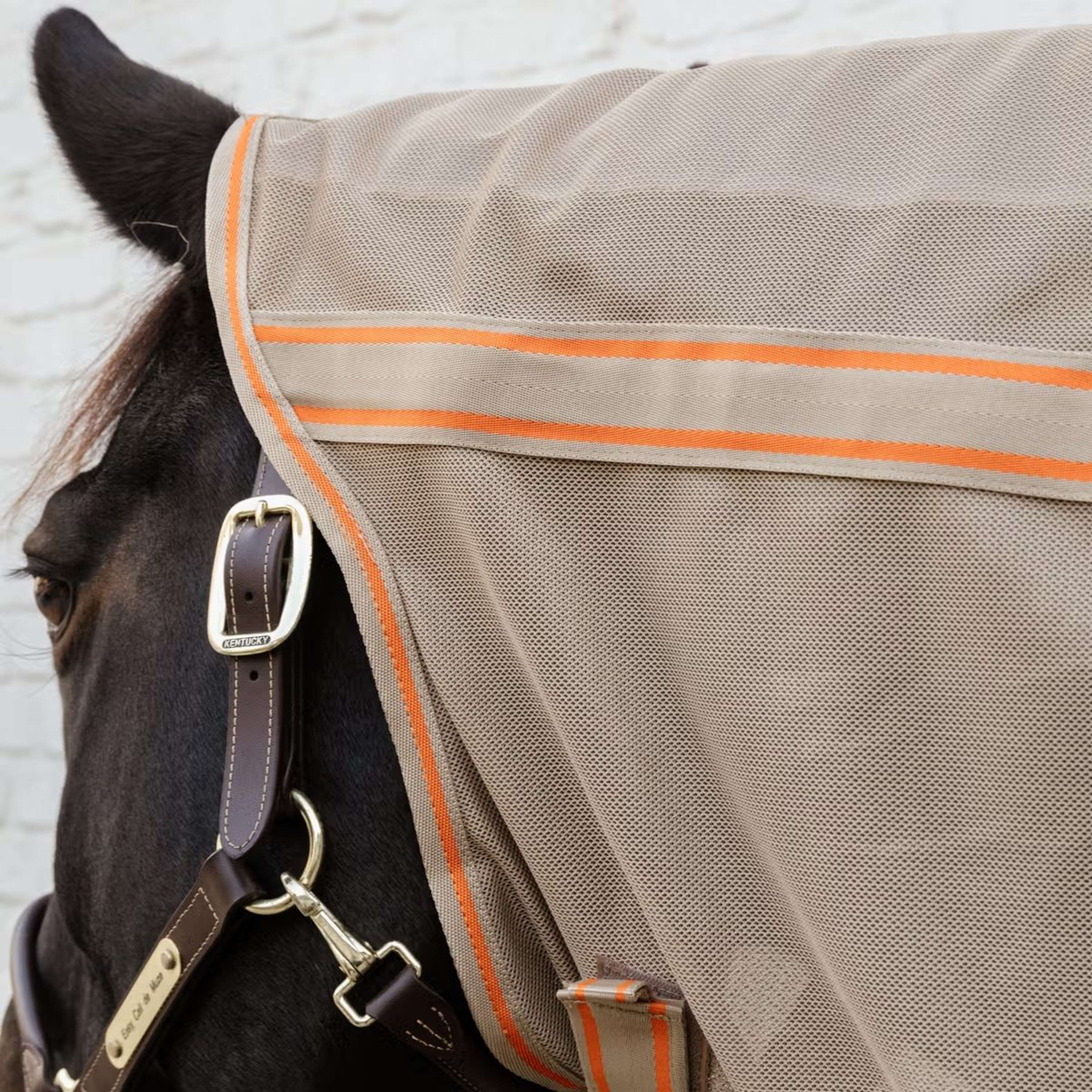 Kentucky Horsewear Couverture Anti-Mouches Comfort Mesh Beige/Orange - Image 4