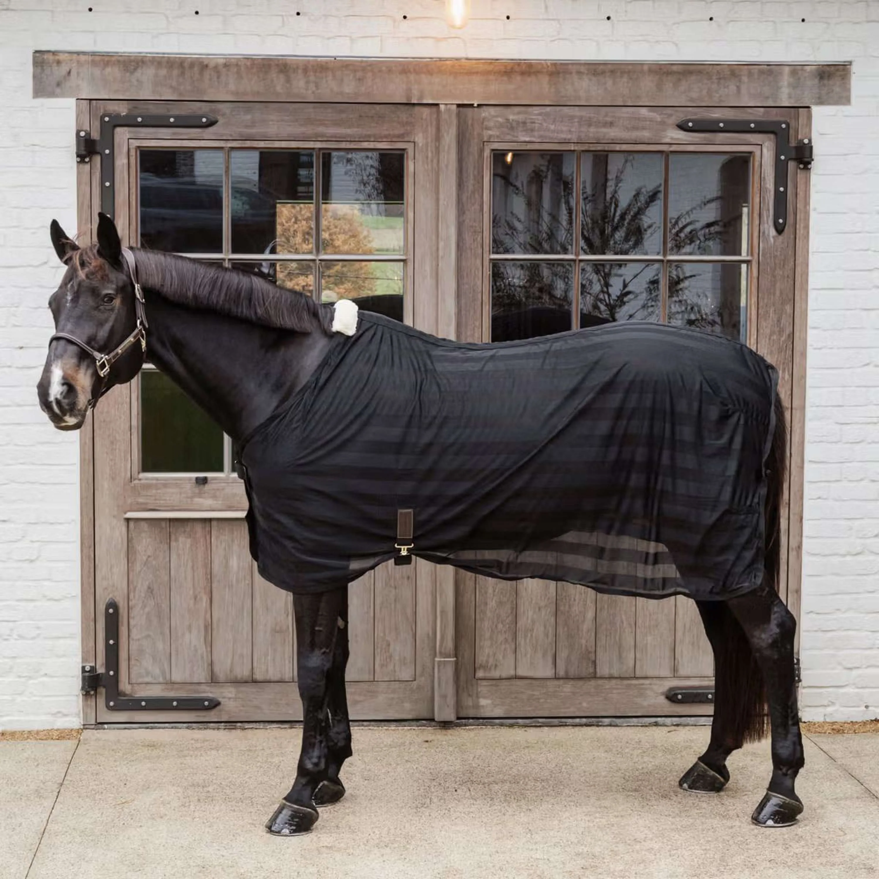 Kentucky Horsewear Couverture Anti-Mouches Light Striped Mesh Noir - Image 2