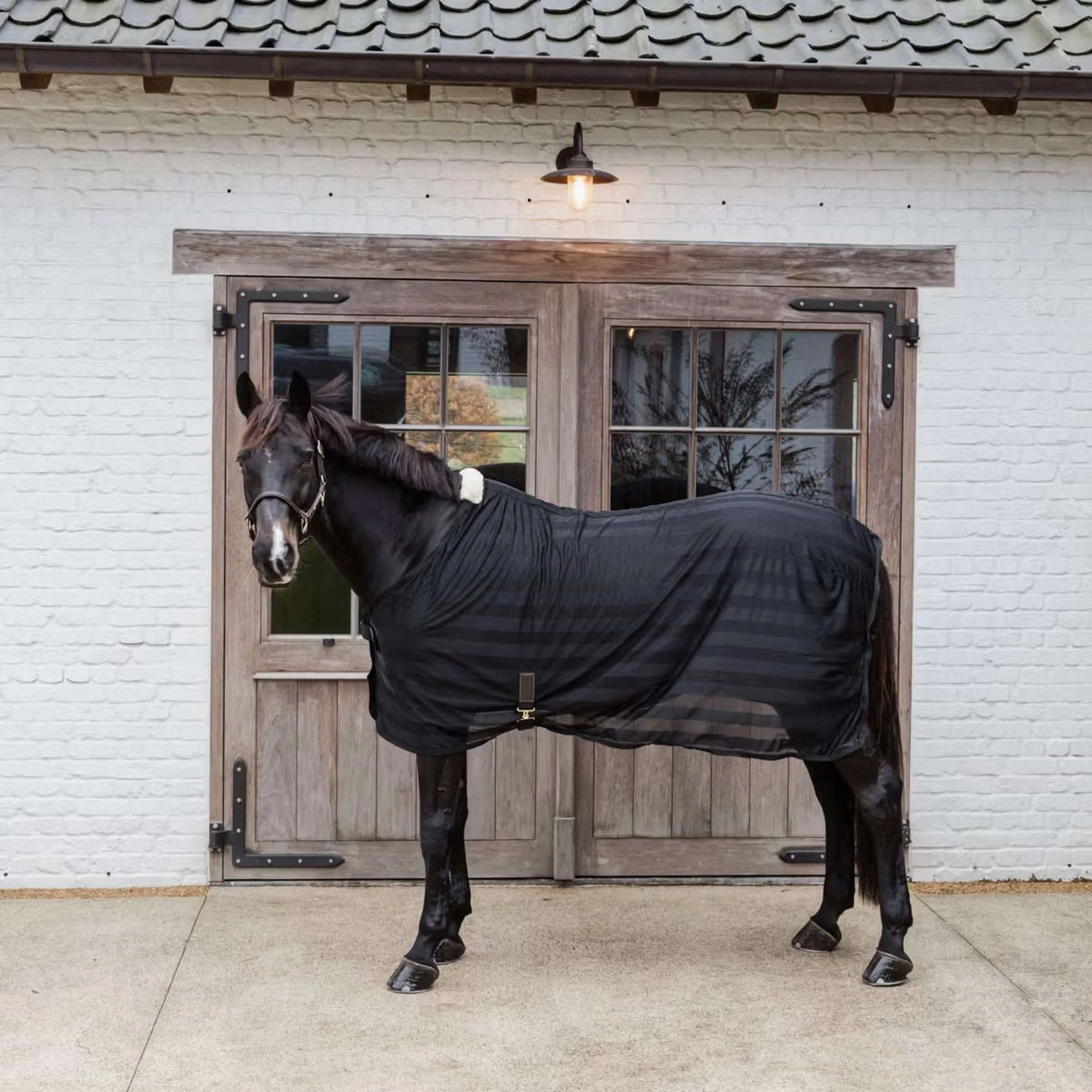 Kentucky Horsewear Couverture Anti-Mouches Light Striped Mesh Noir - Image 3