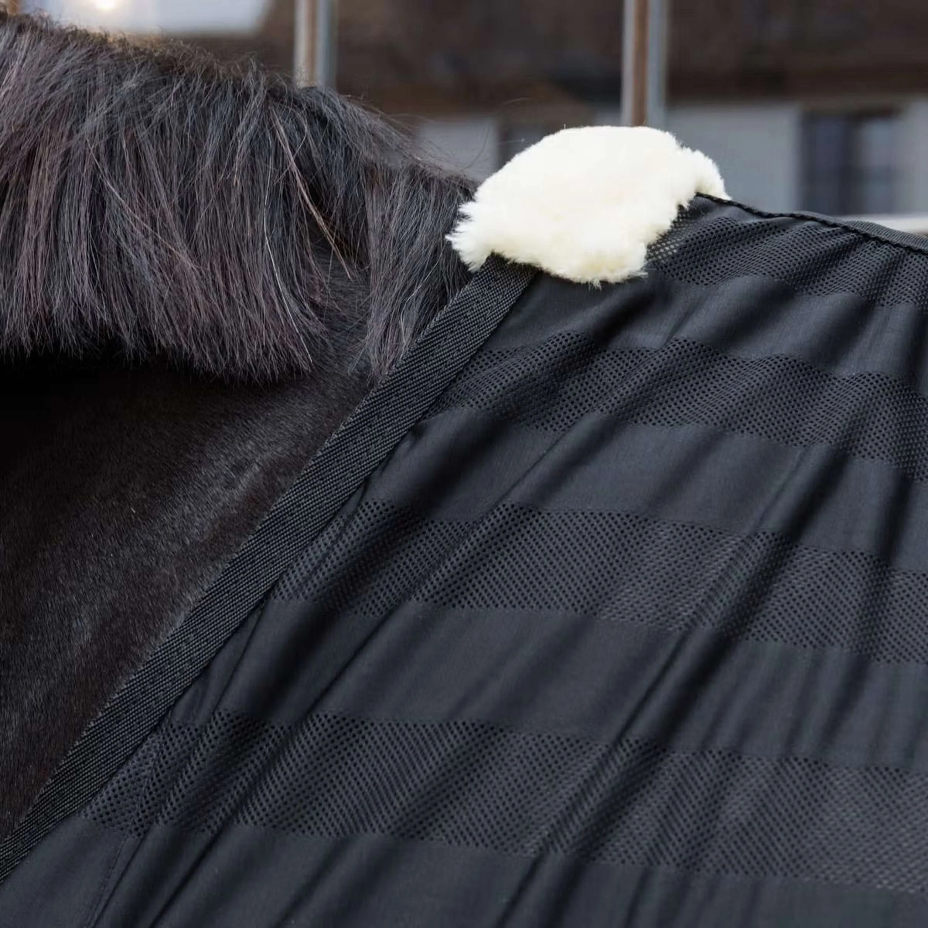 Kentucky Horsewear Couverture Anti-Mouches Light Striped Mesh Noir - Image 7