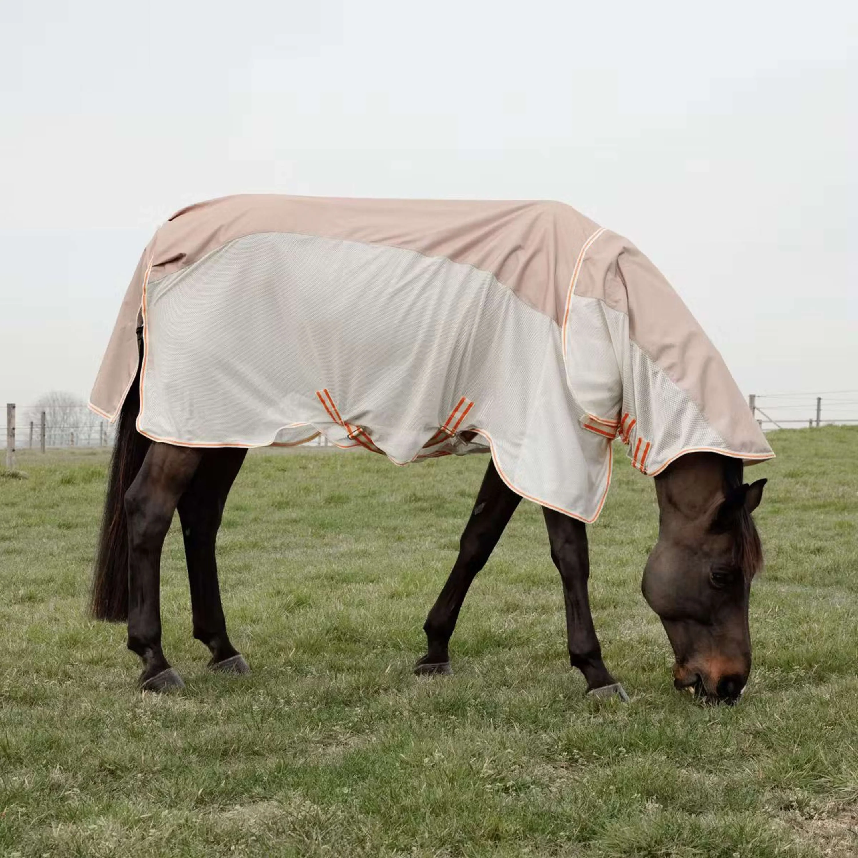 Kentucky Horsewear Couverture Anti-Mouches Waterproof Combo Comfort Beige - Image 4