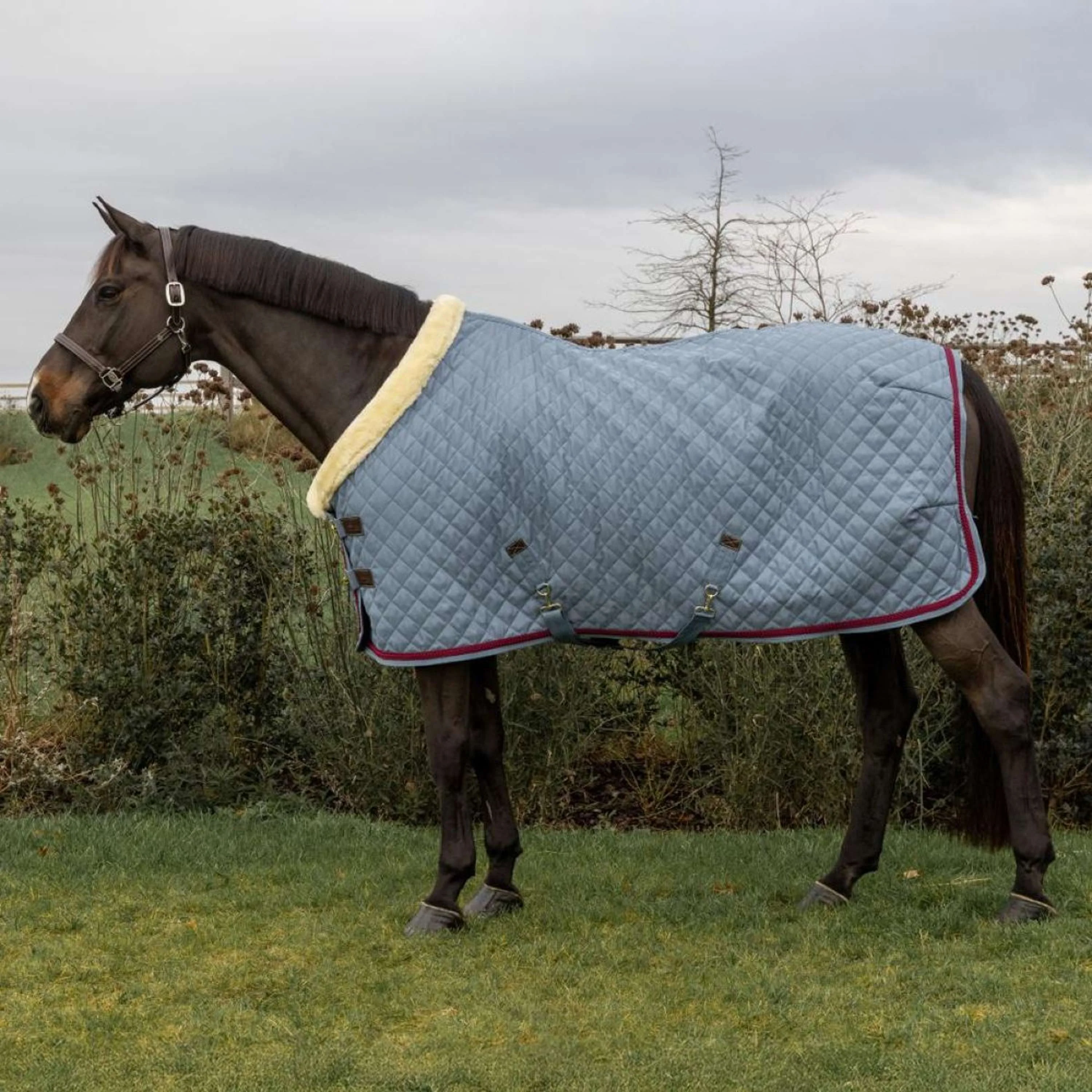 Kentucky Horsewear Couverture de Concours 160g Denim - Image 2