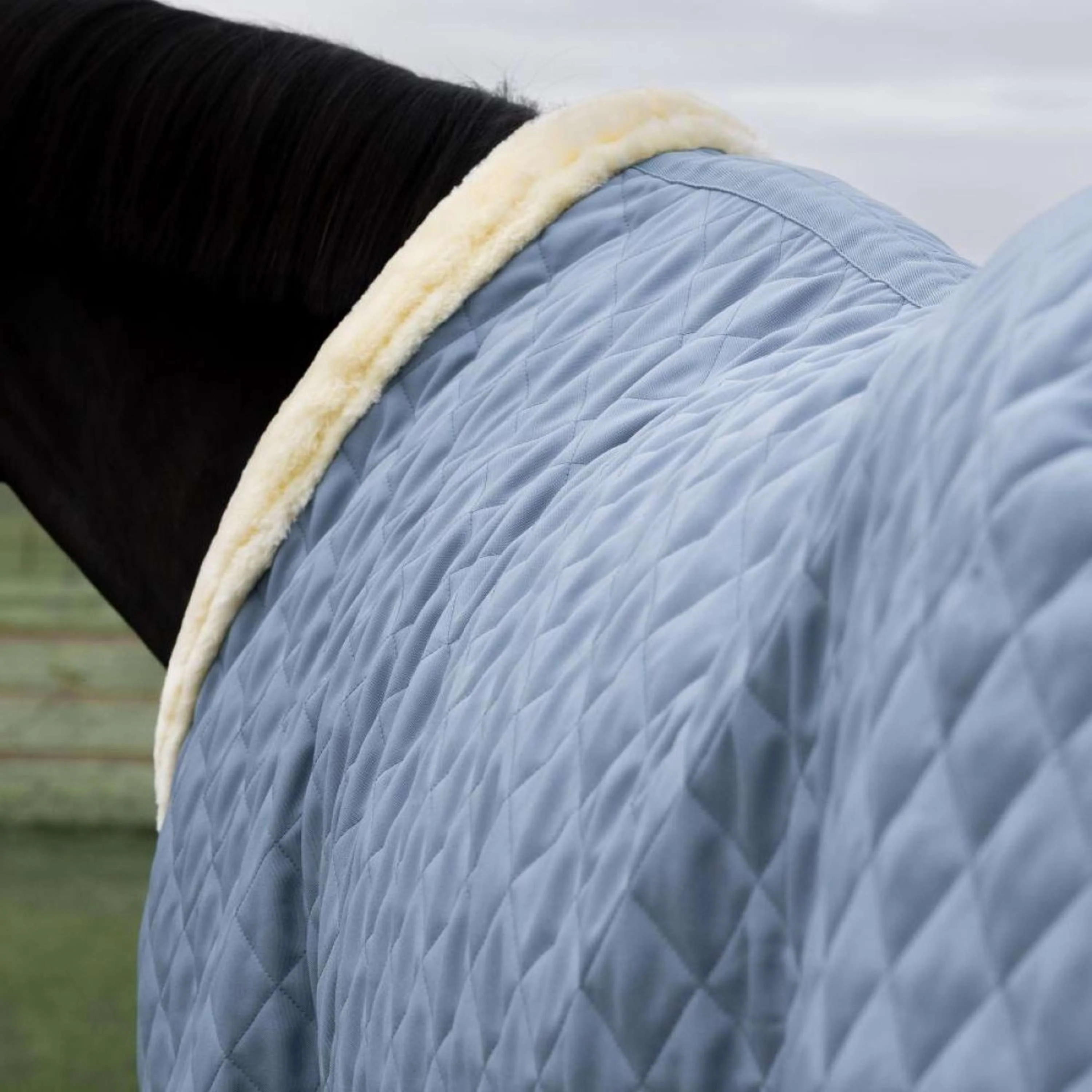 Kentucky Horsewear Couverture de Concours 160g Denim - Image 6