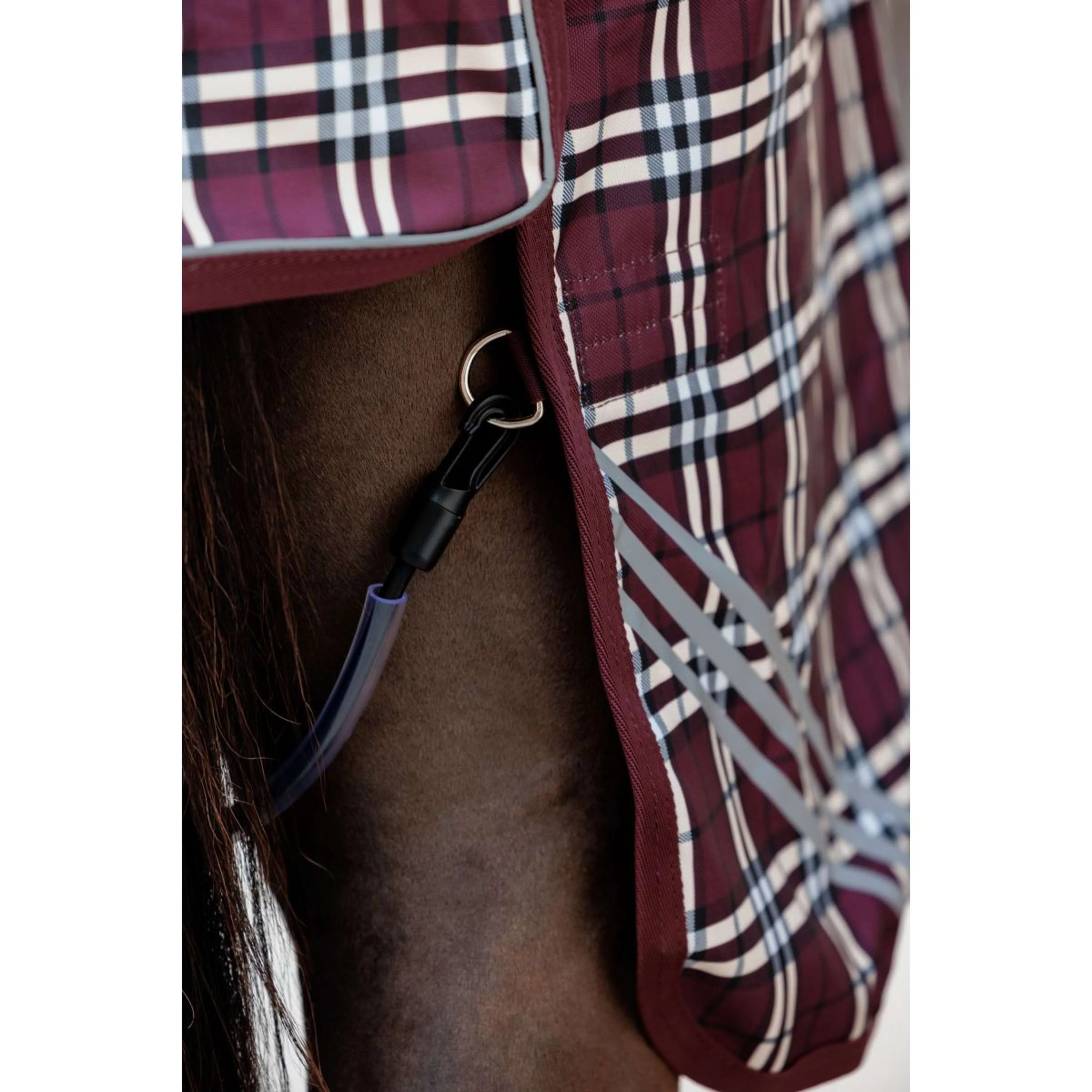 Kentucky Horsewear Couverture d'Hiver All Weather Waterproof Comfort 200g Bordeaux - Image 7