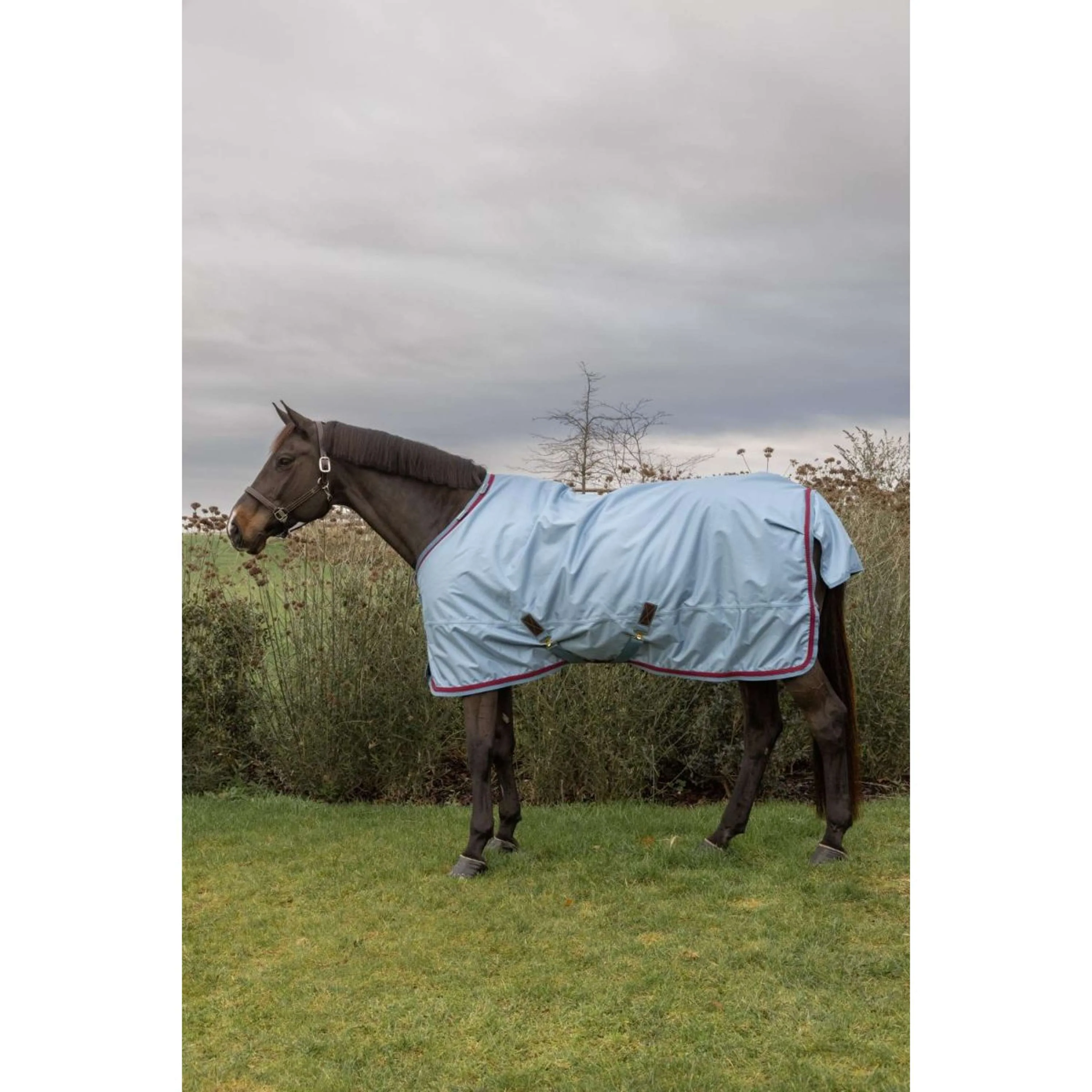 Kentucky Horsewear Couverture d'Hiver All Weather Waterproof Pro 160g Denim - Image 4