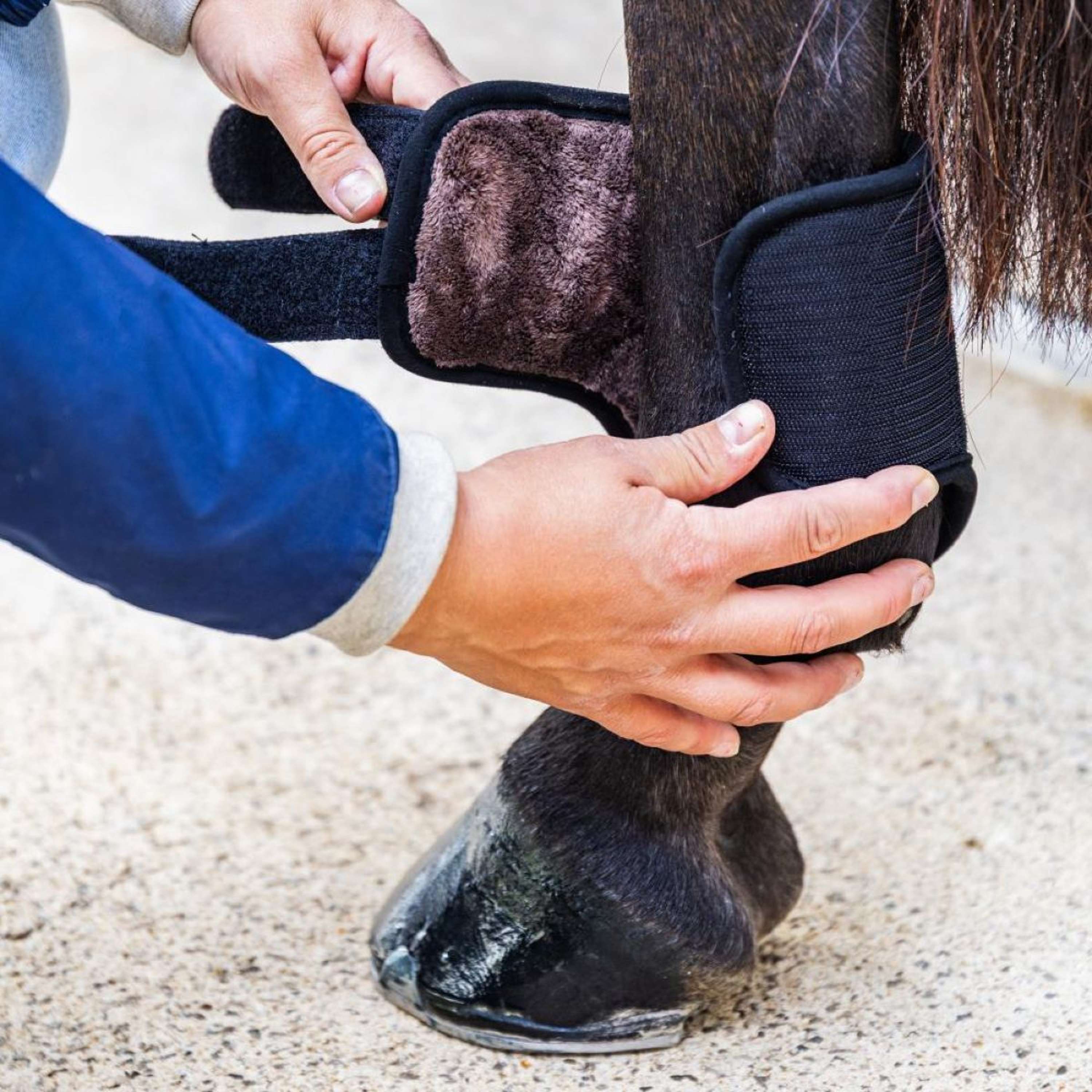 Kentucky Horsewear Eventing Boots 3D Air Flow Skin Friendly Short Hind Noir - Image 2