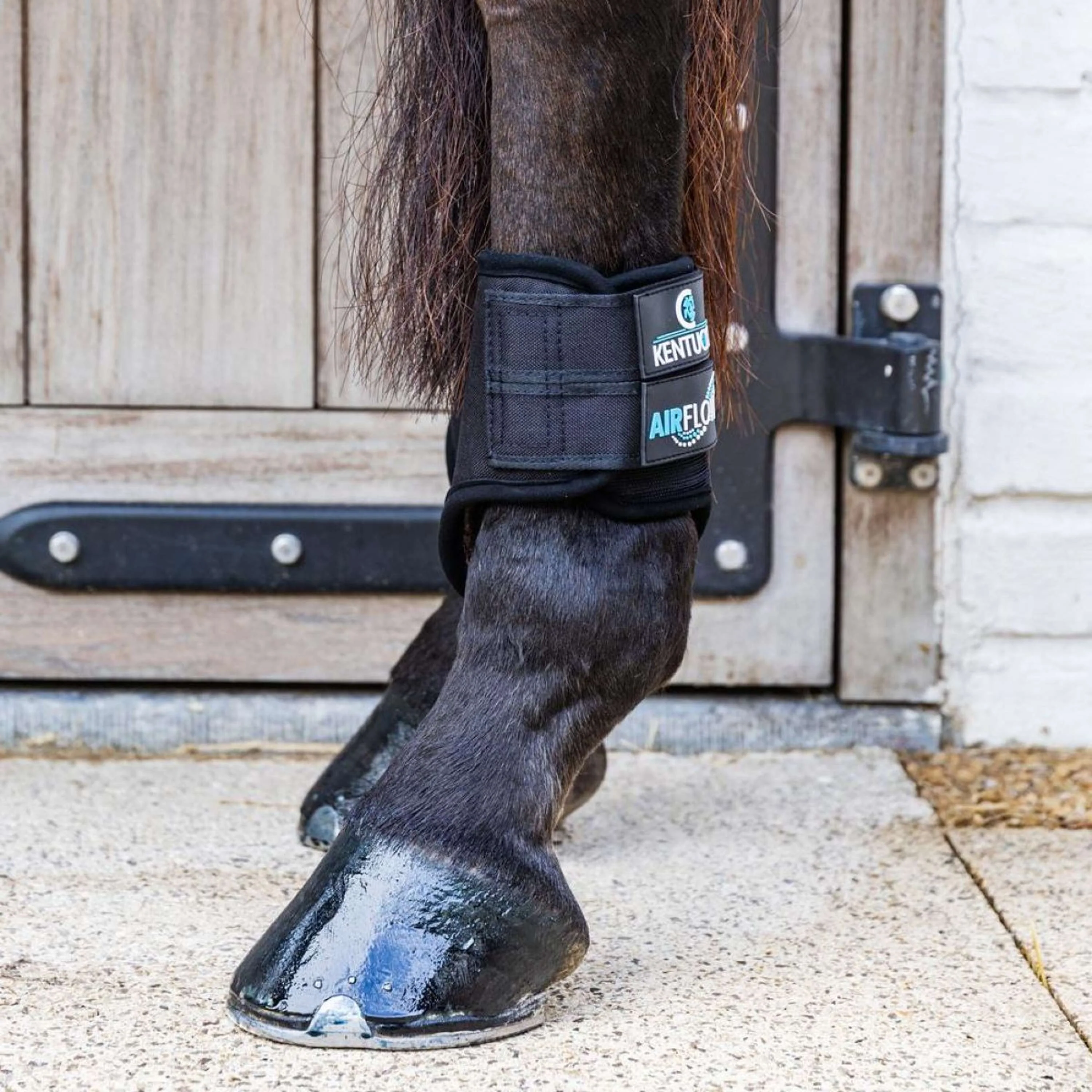 Kentucky Horsewear Eventing Boots 3D Air Flow Skin Friendly Short Hind Noir - Image 3