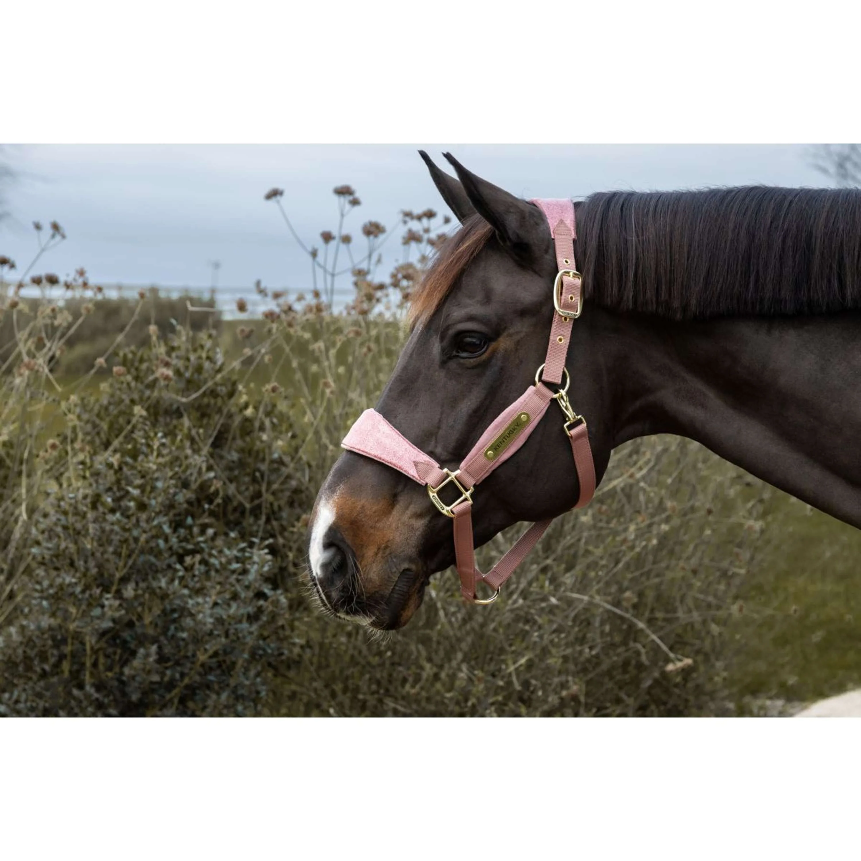 Kentucky Horsewear Licol Velvet Glitter Unicorn Rose Vieux - Image 3