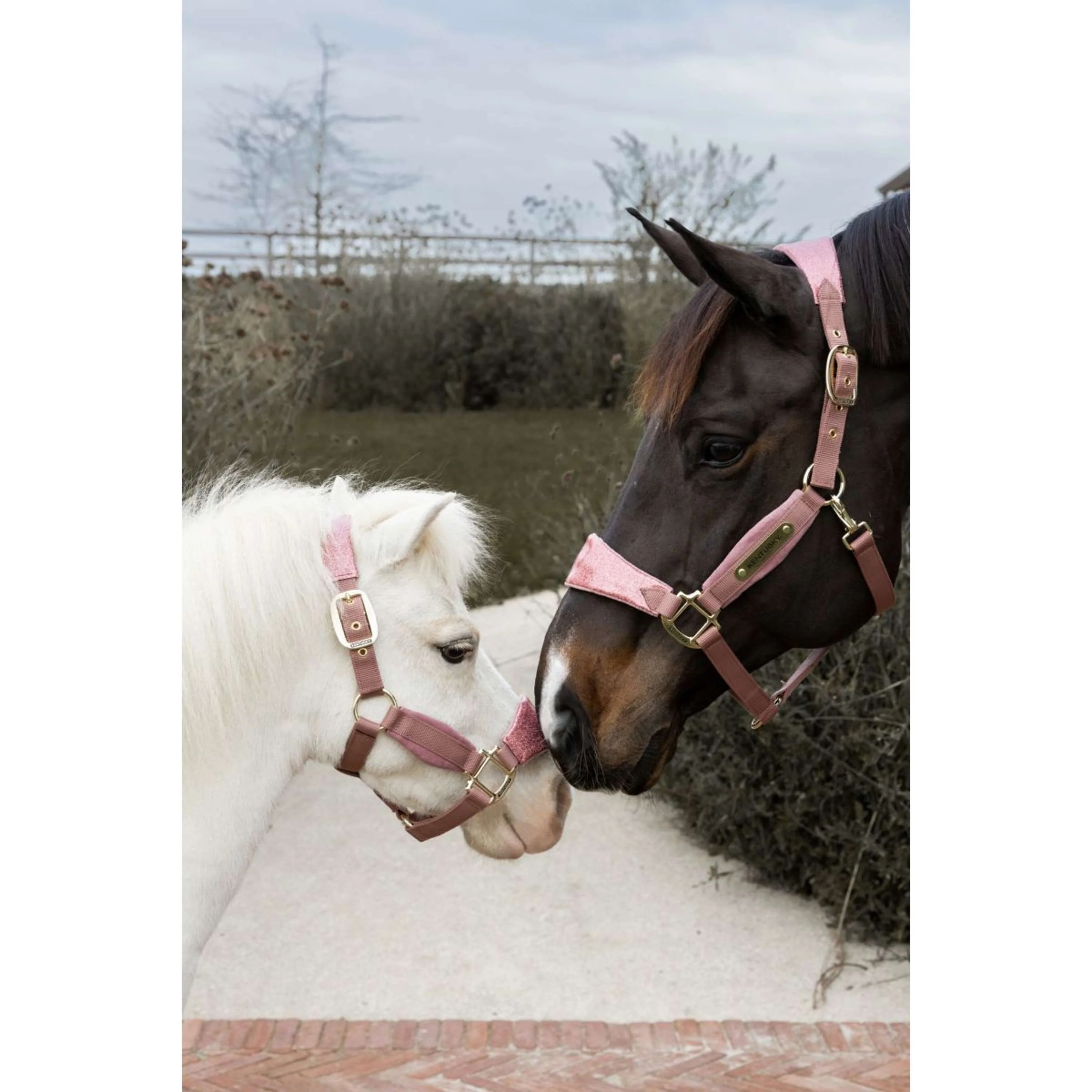Kentucky Horsewear Licol Velvet Glitter Unicorn Rose Vieux - Image 6