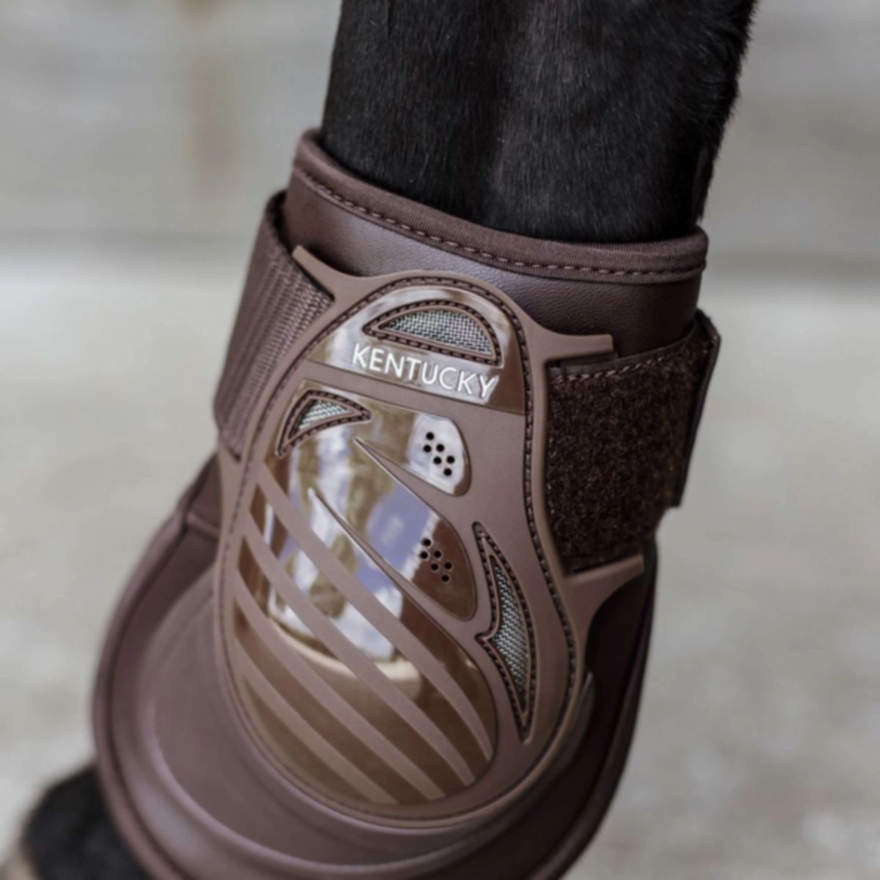 Kentucky Horsewear Protège-Boulets Deep Marron - Image 2