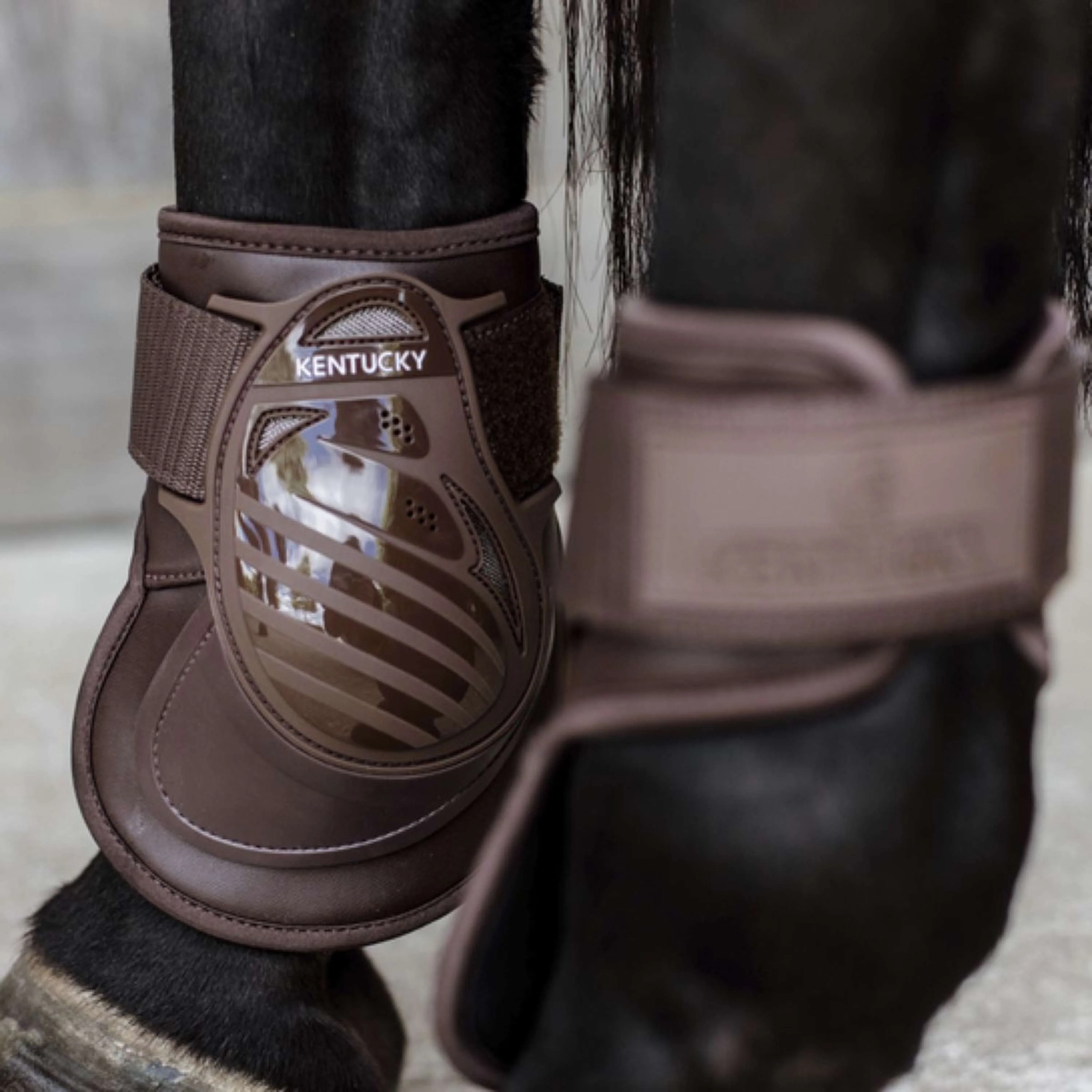 Kentucky Horsewear Protège-Boulets Deep Marron - Image 3