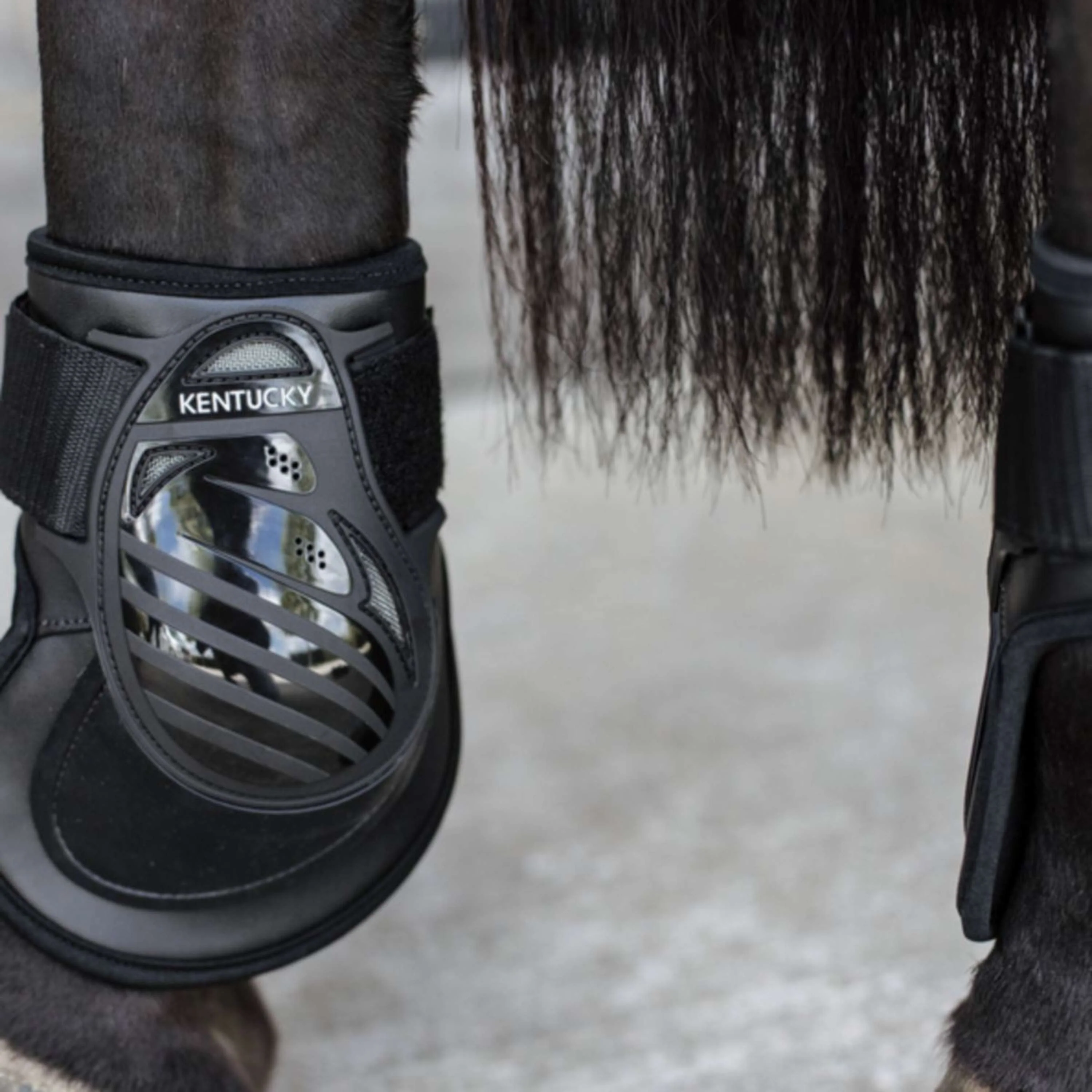 Kentucky Horsewear Protège-Boulets Deep Noir - Image 3