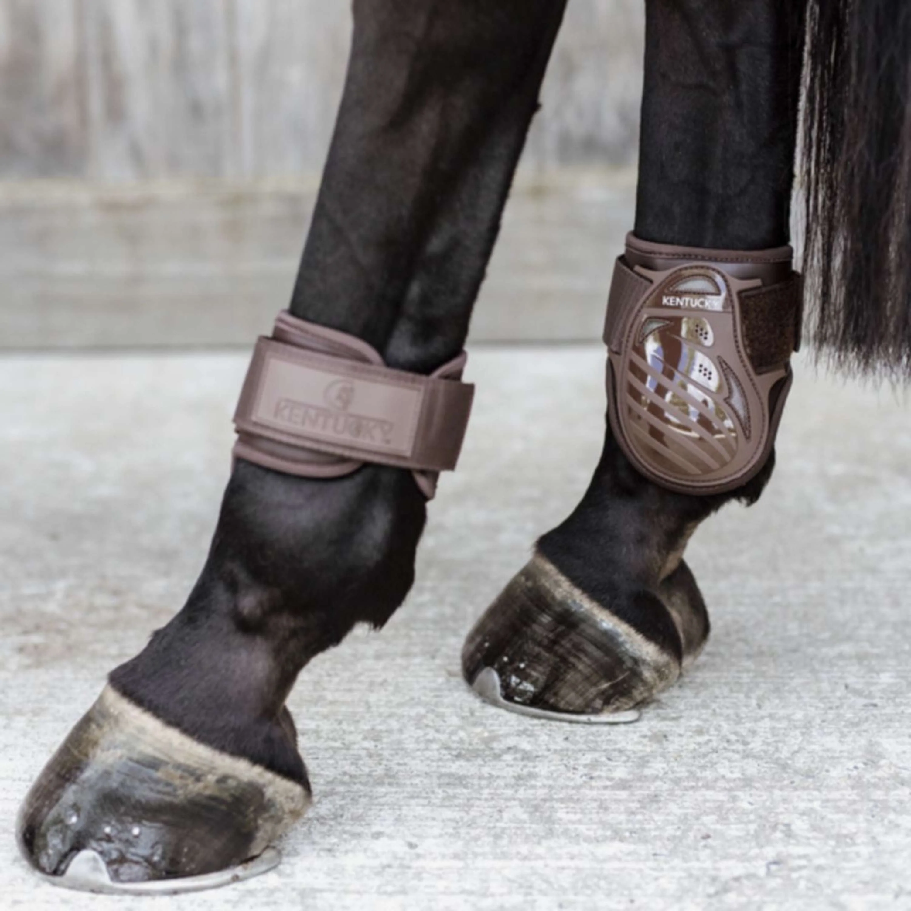 Kentucky Horsewear Protège-Boulets Young Horse Marron - Image 4