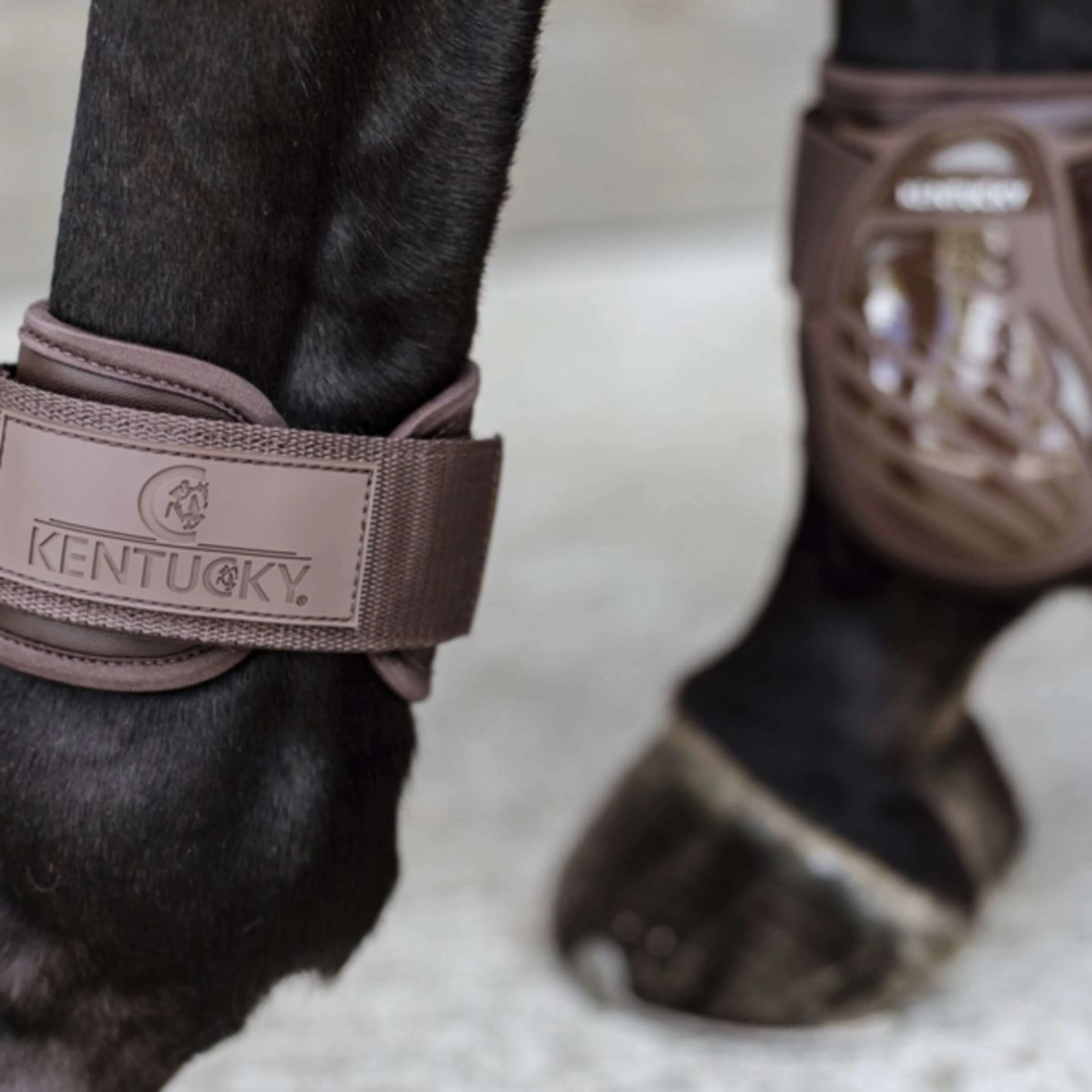 Kentucky Horsewear Protège-Boulets Young Horse Marron - Image 5