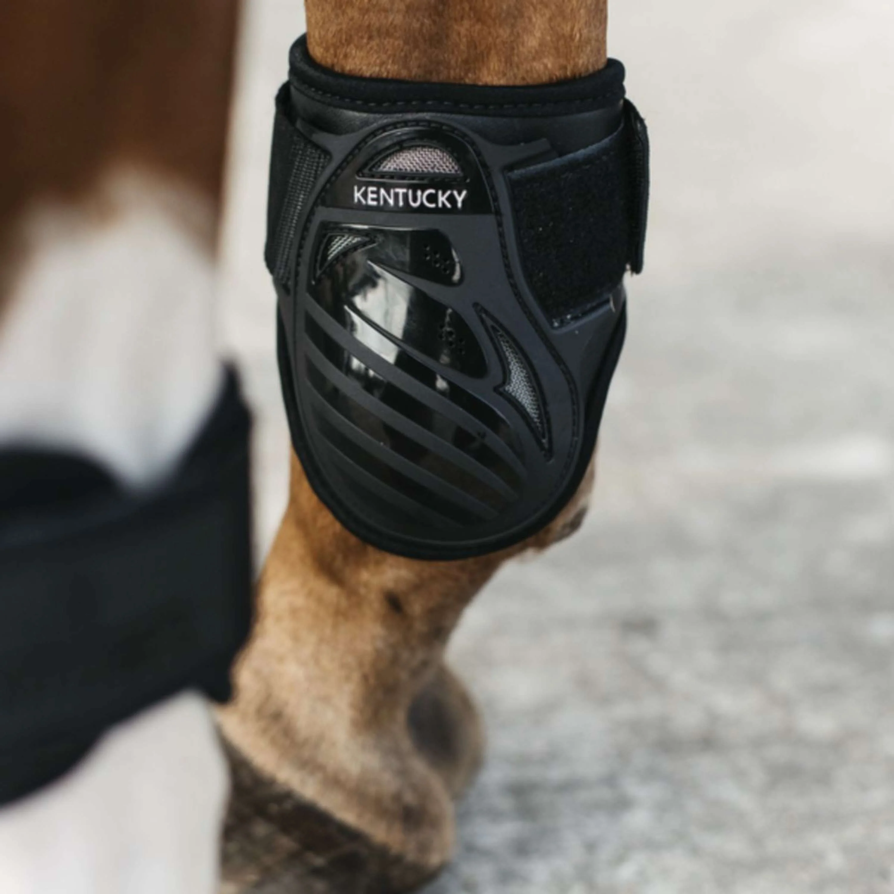 Kentucky Horsewear Protège-Boulets Young Horse Noir - Image 5