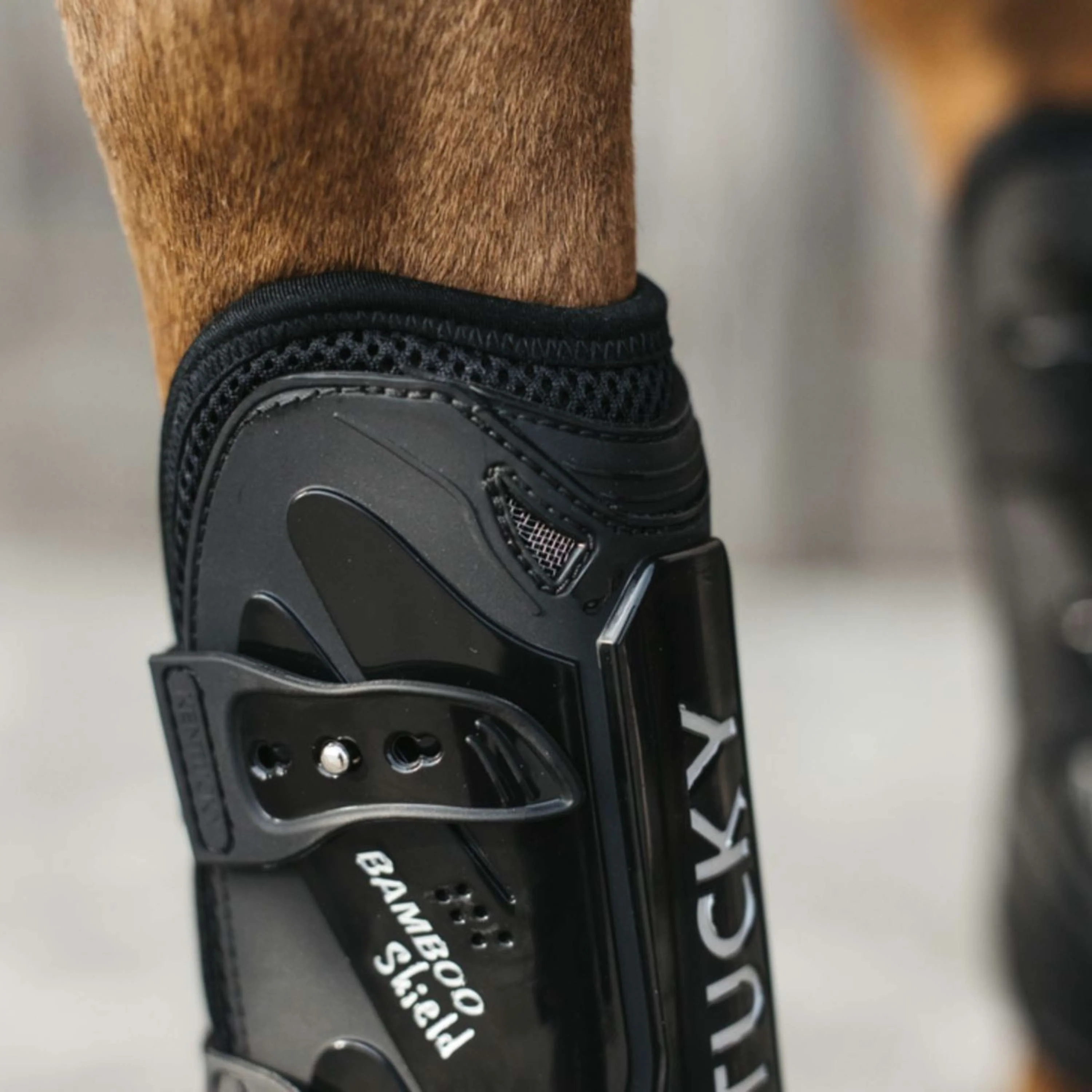 Kentucky Horsewear Protèges-Tendons Bamboo Elastic Noir - Image 3