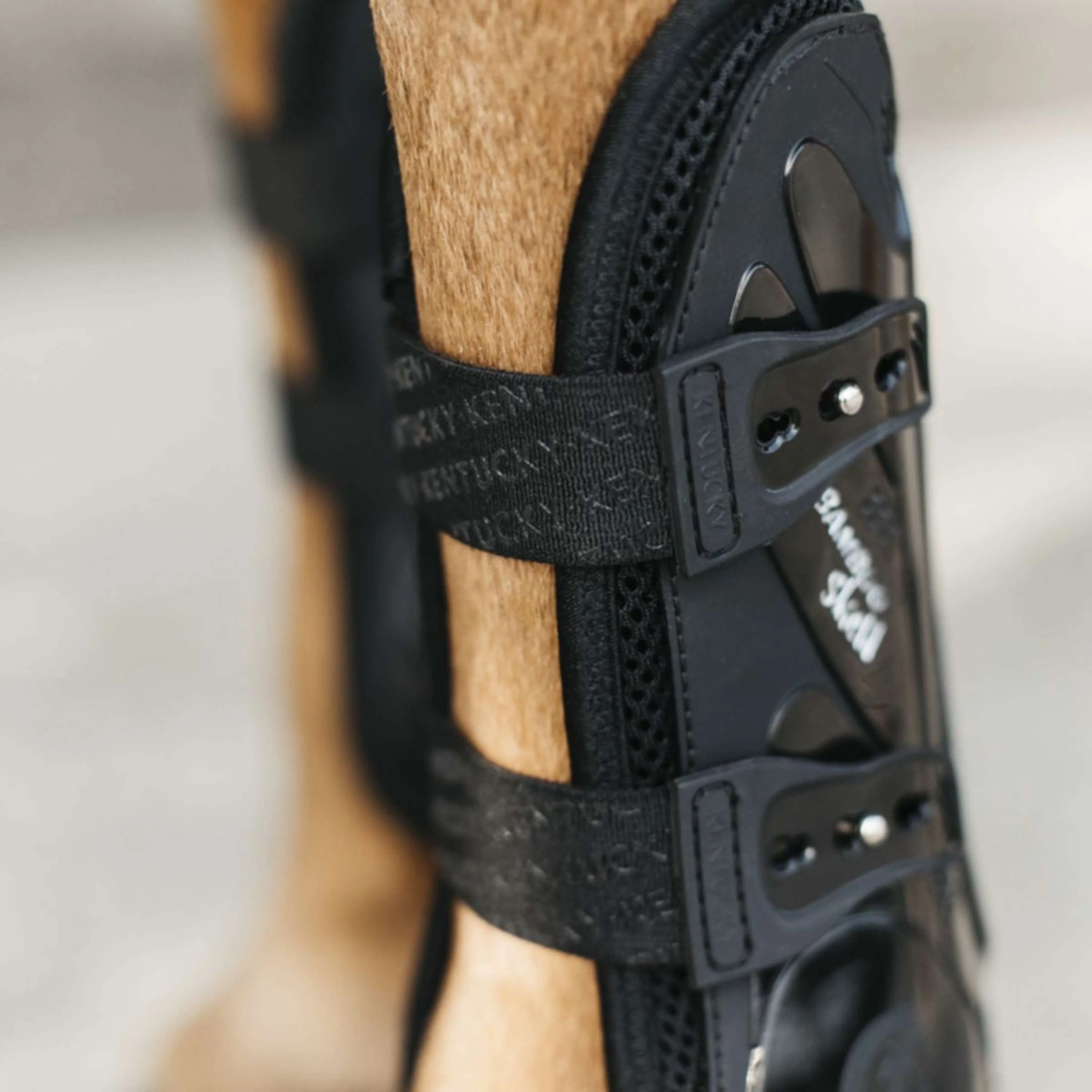 Kentucky Horsewear Protèges-Tendons Bamboo Elastic Noir - Image 5