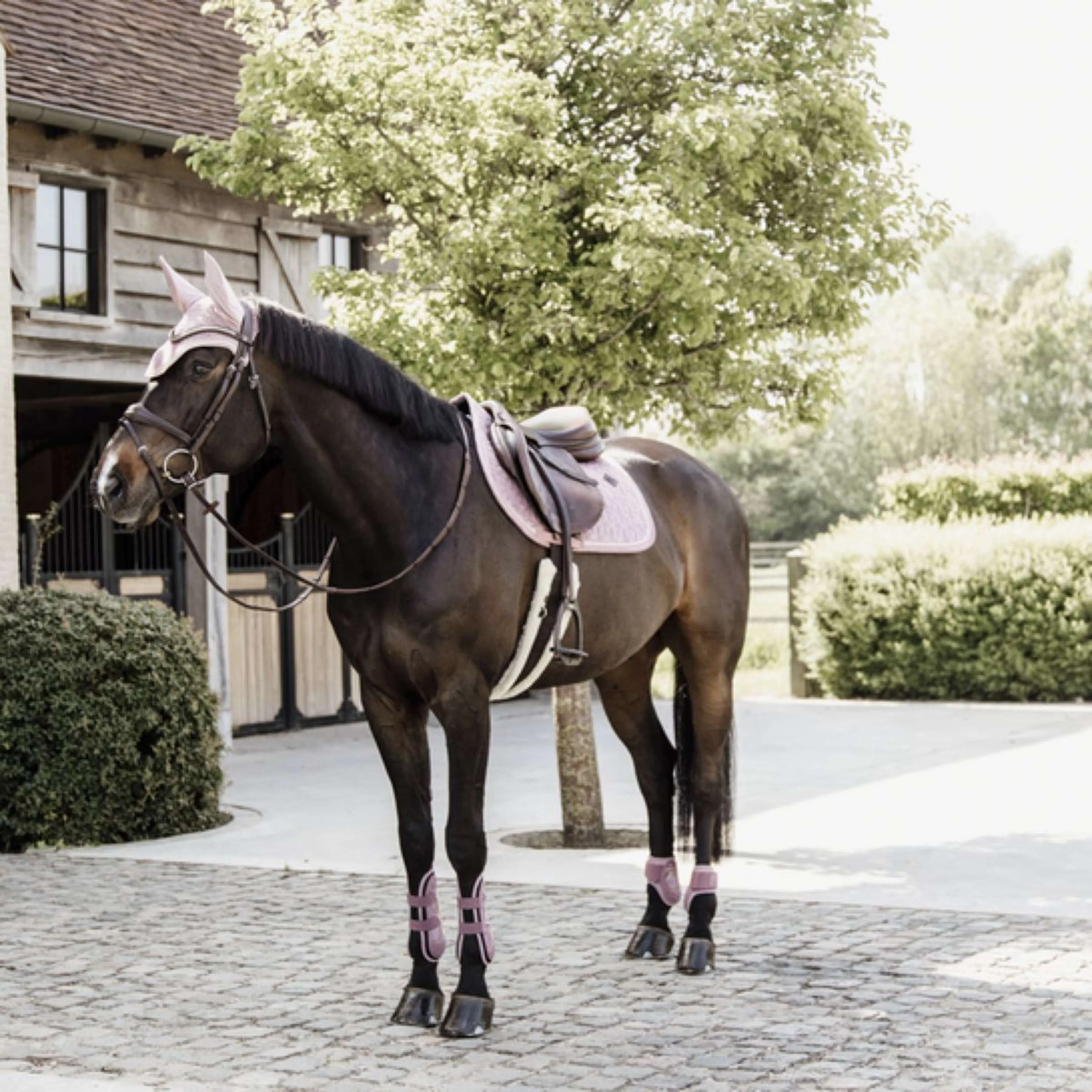 Kentucky Horsewear Protèges-Tendons Bamboo Elastic Old Rose - Image 6