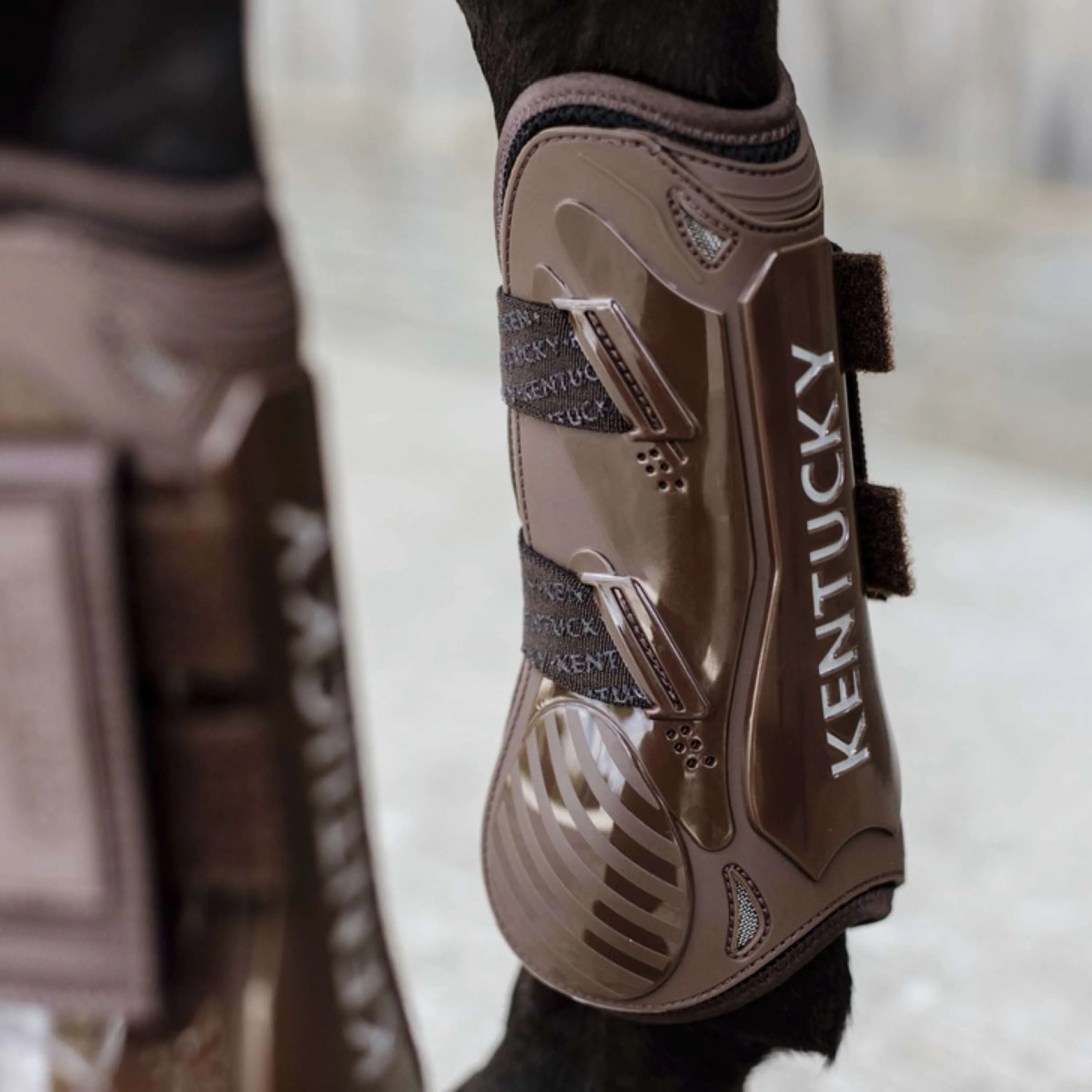 Kentucky Horsewear Protèges-Tendons Velcro Marron - Image 3