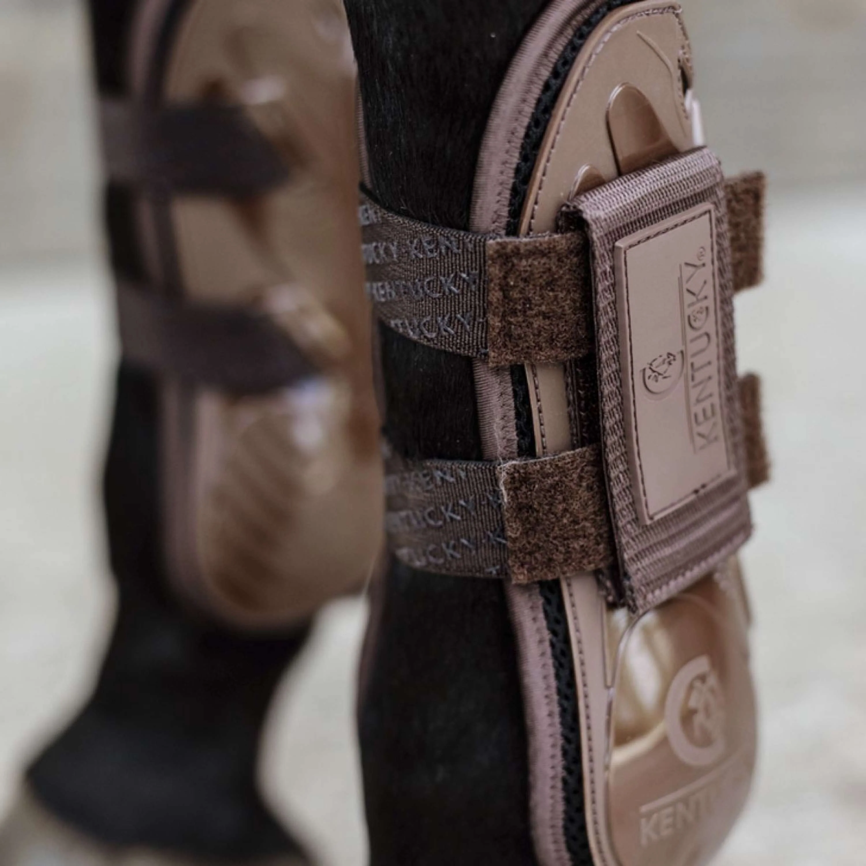 Kentucky Horsewear Protèges-Tendons Velcro Marron - Image 4