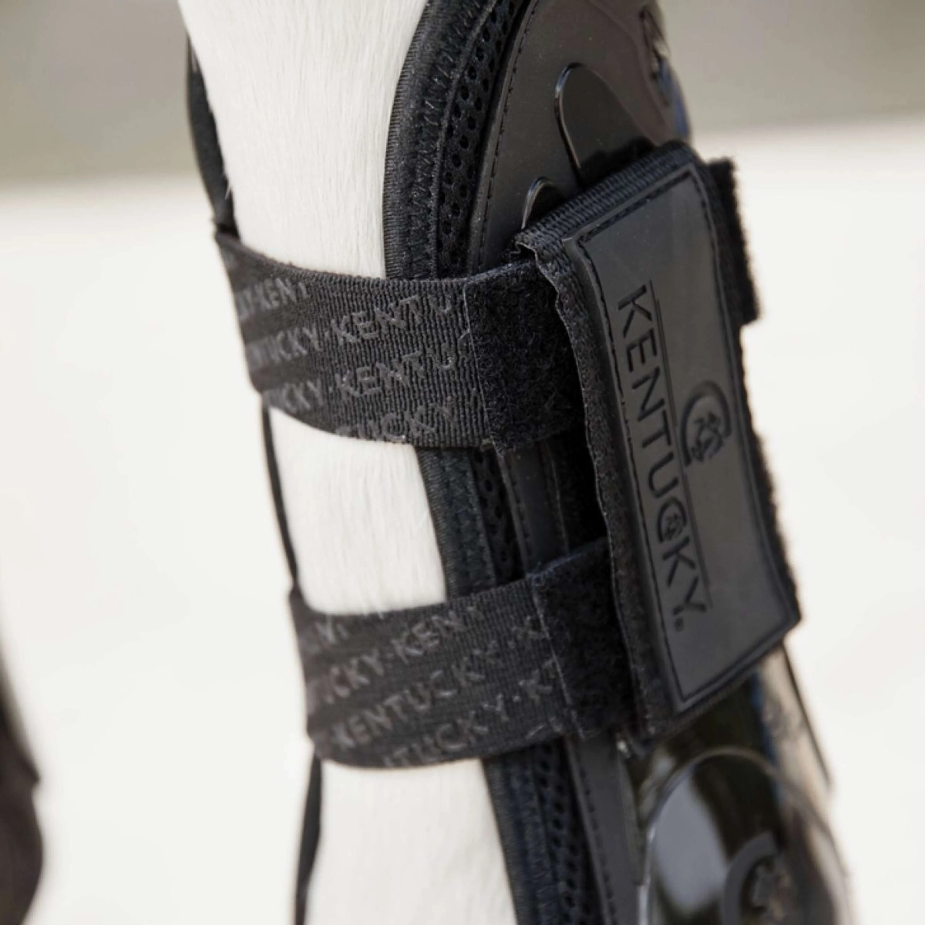 Kentucky Horsewear Protèges-Tendons Velcro Noir - Image 3