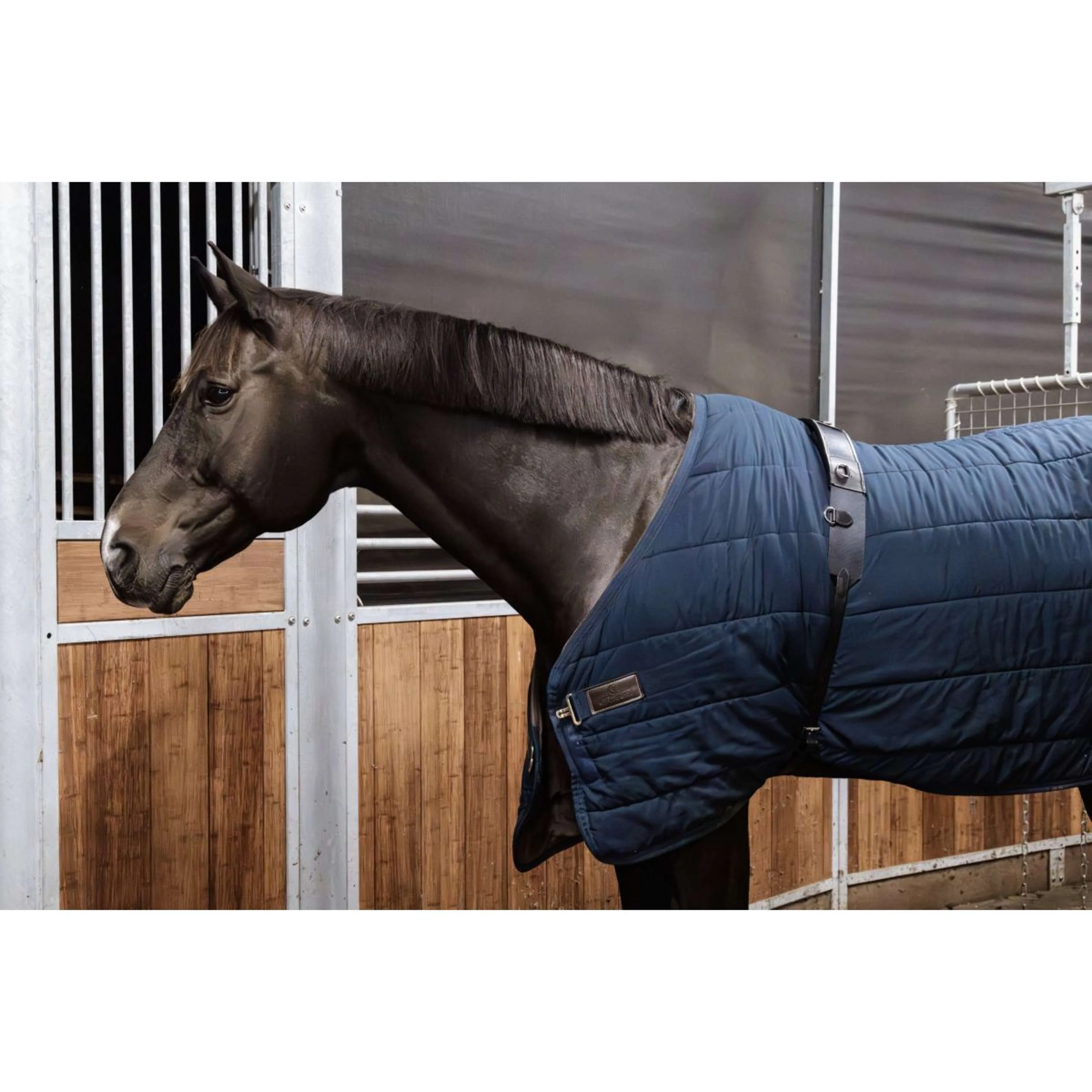 Kentucky Horsewear Surfaix de Longe Nylon Noir - Image 3