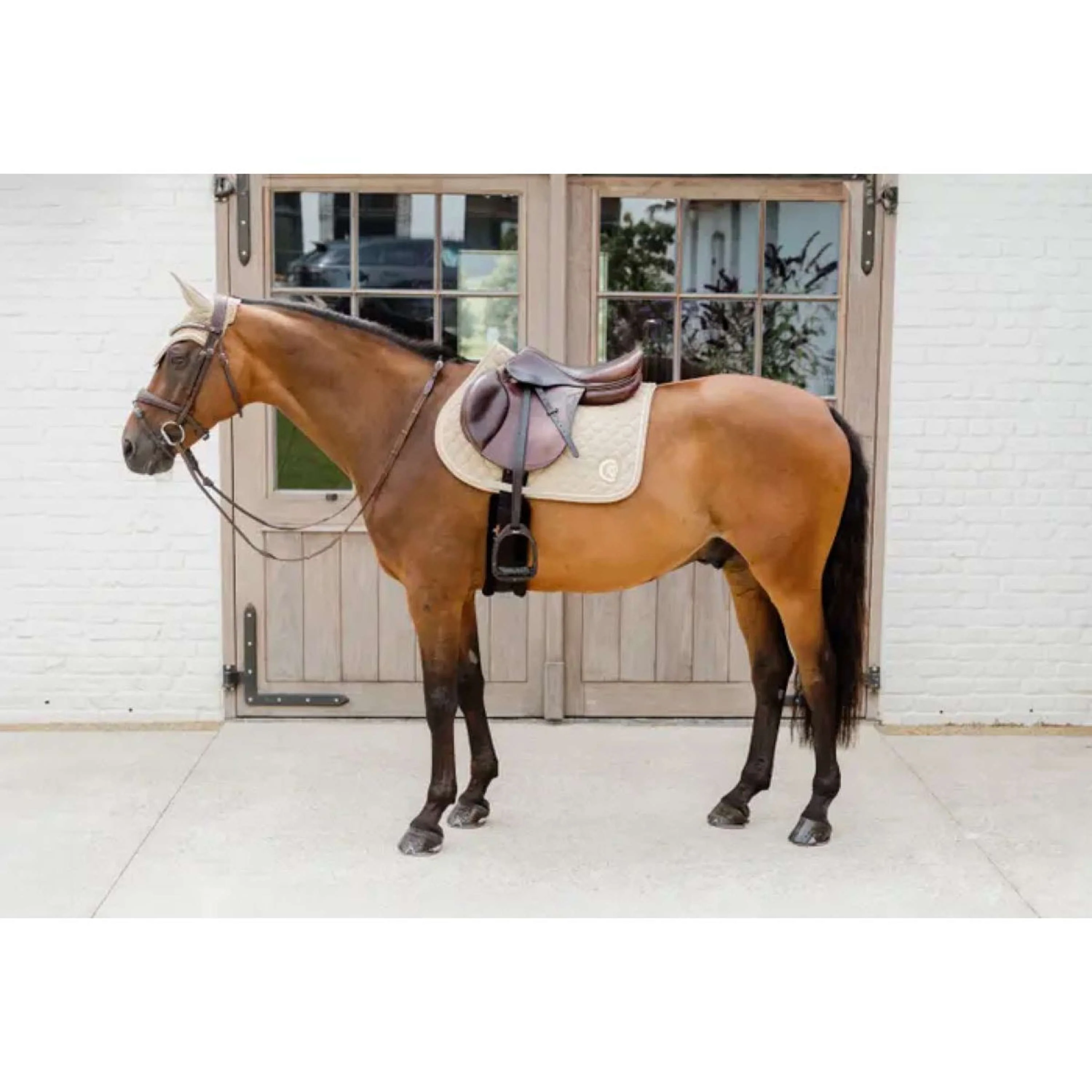 Kentucky Horsewear Tapis de Selle Onion Quilt 3D Logo de Saut Beige - Image 4
