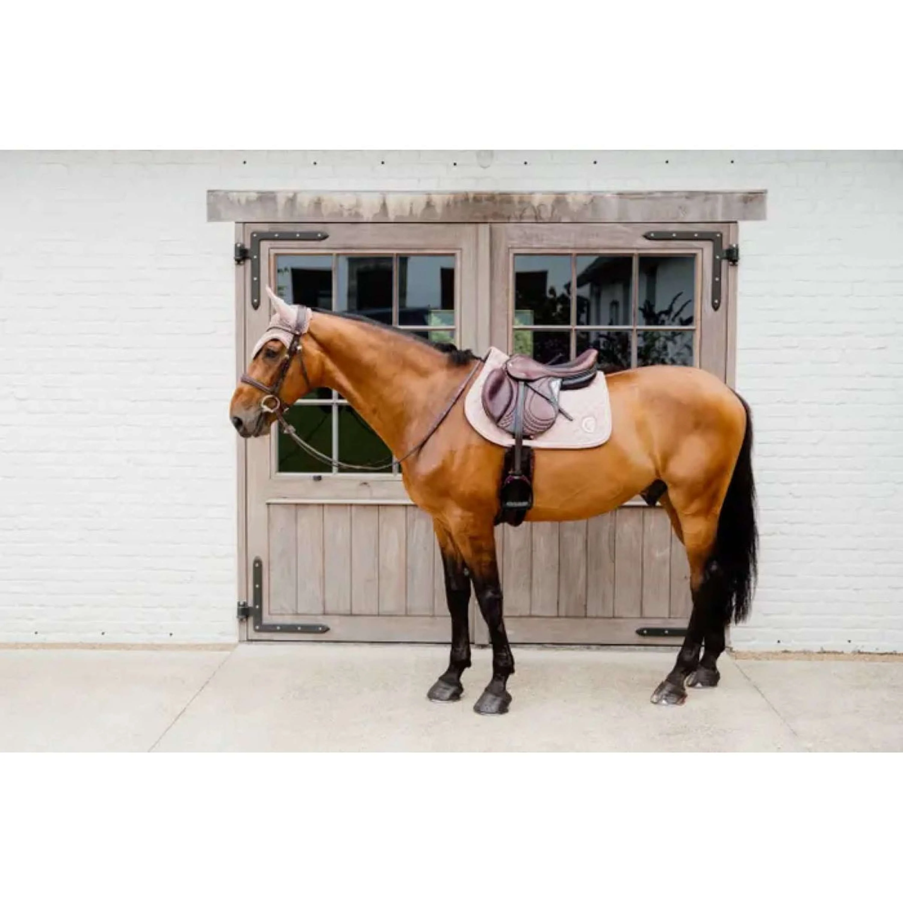 Kentucky Horsewear Tapis de Selle Onion Quilt 3D Logo de Saut Rose Vieux - Image 3
