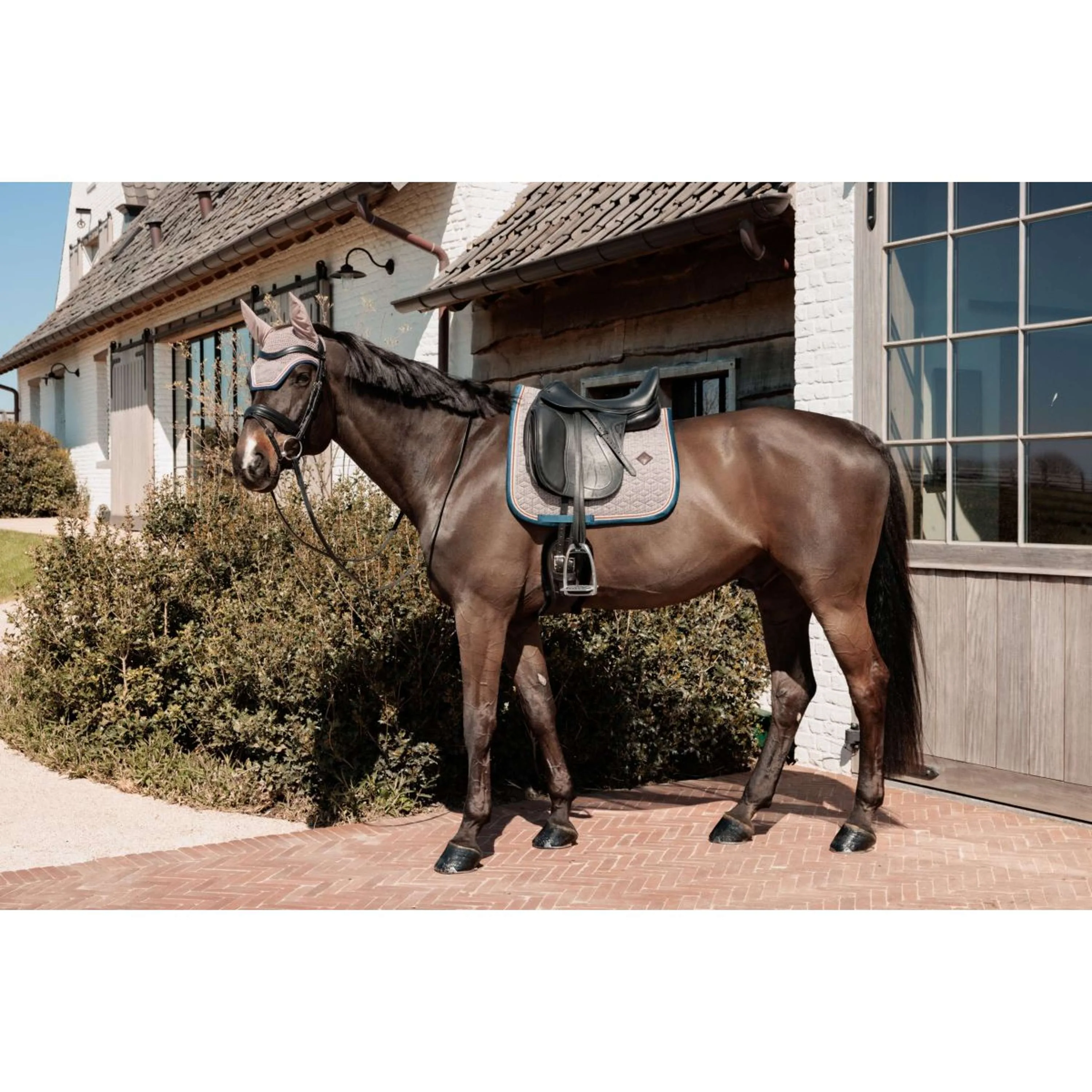 Kentucky Horsewear Tapis de Selle Pied-de-Poule Dressage Bordeaux/Marine - Image 5