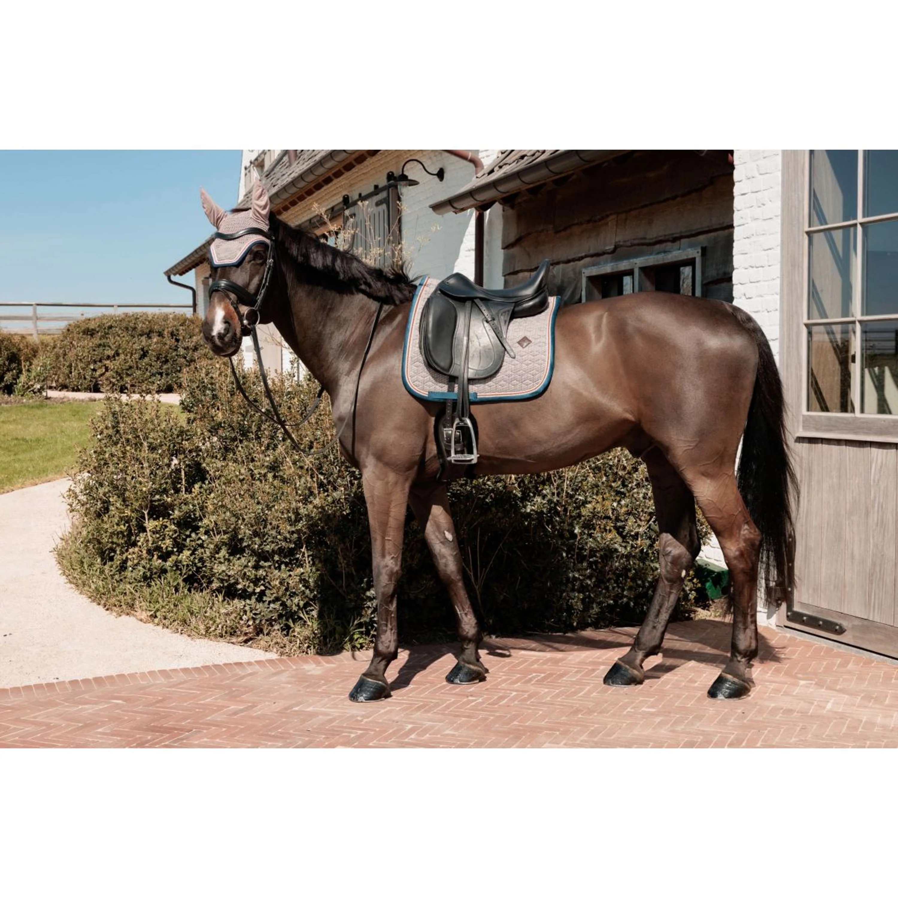 Kentucky Horsewear Tapis de Selle Pied-de-Poule Dressage Bordeaux/Marine - Image 6