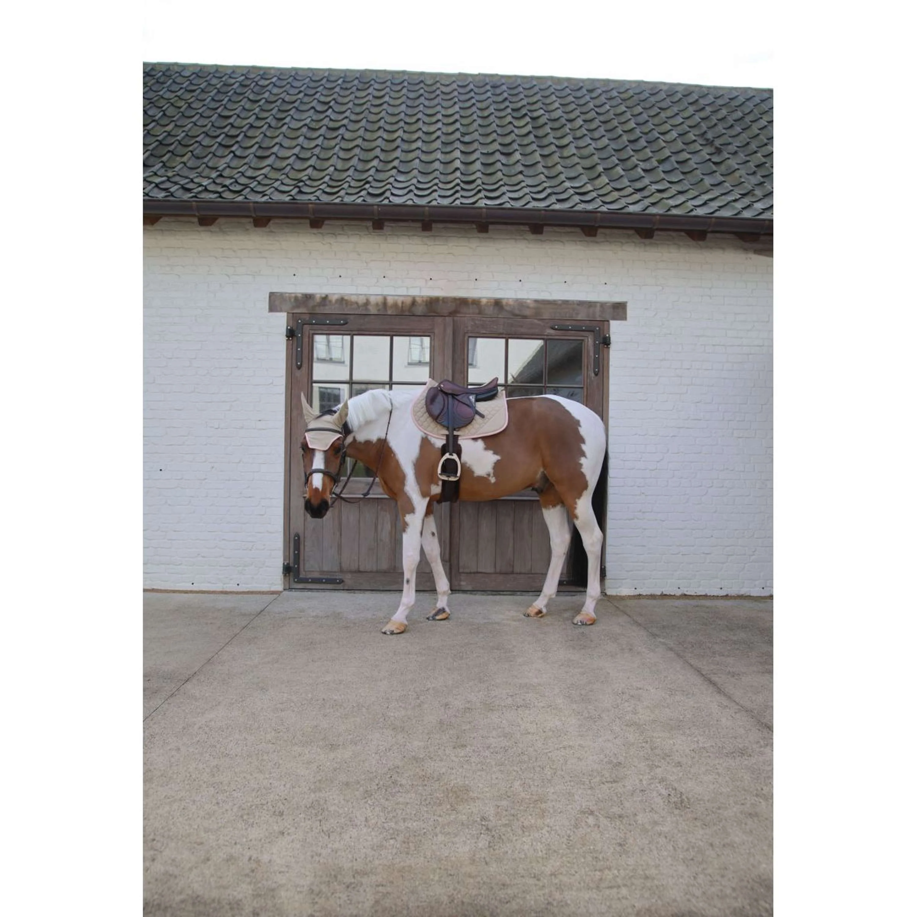 Kentucky Horsewear Tapis de Selle Softshell Onion Quilt de Saut Beige/Vieux Rose - Image 6